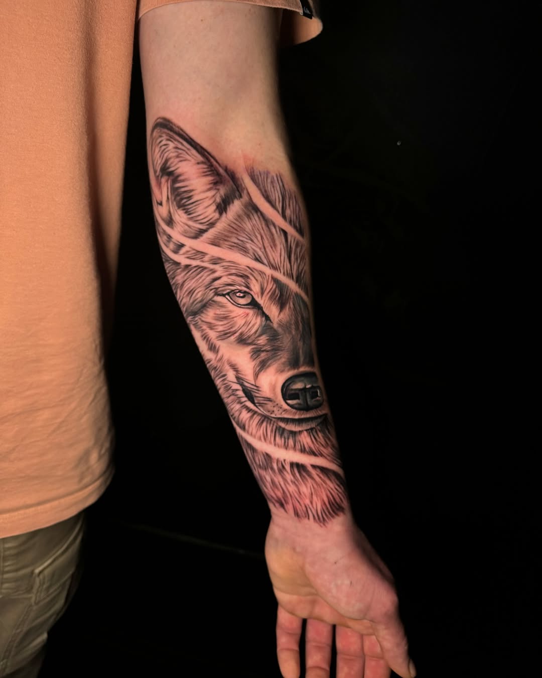 Realistic Wolf Portrait Forearm Tattoo