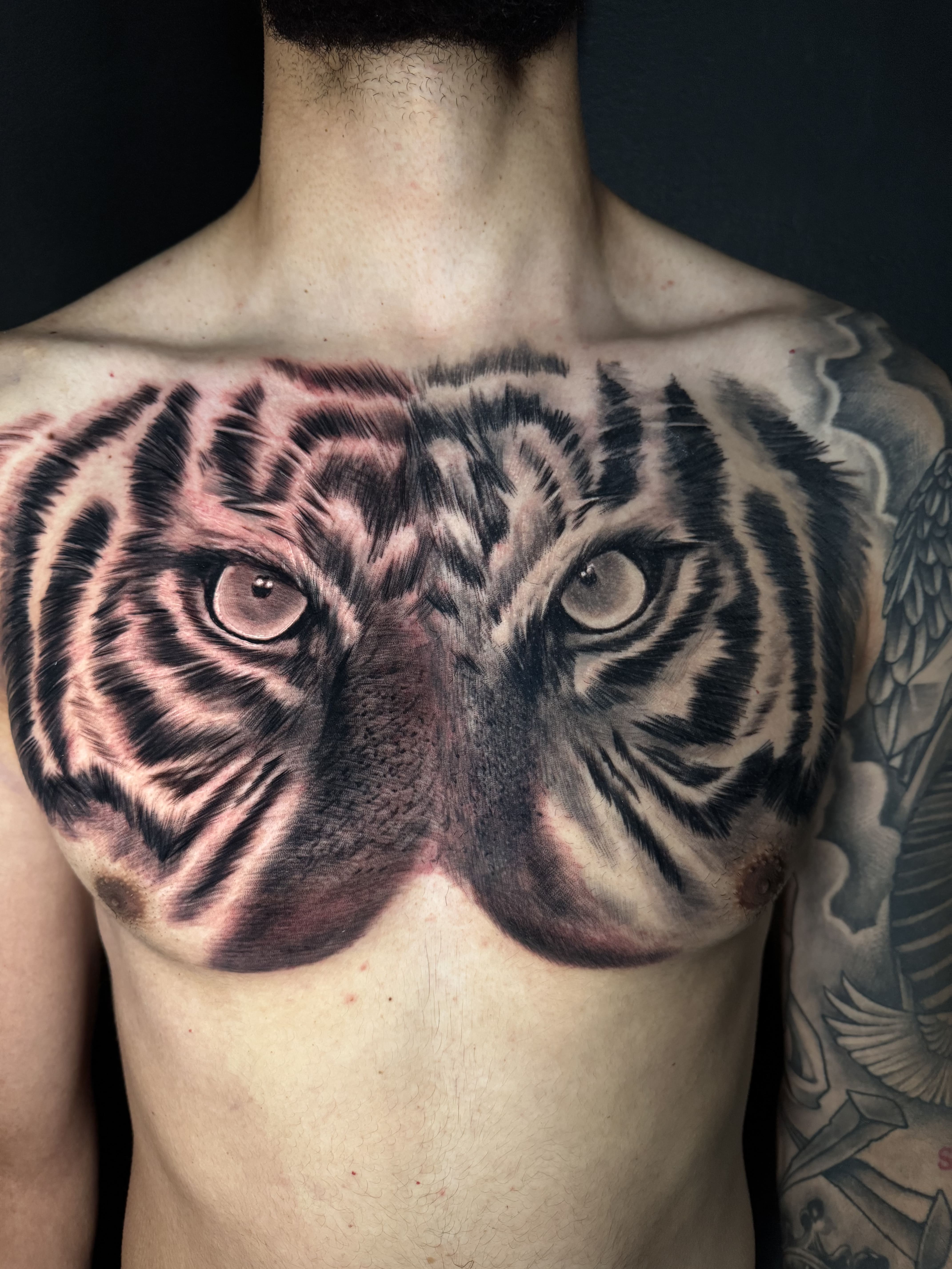 Hyper-Realistic Tiger Chest Tattoo