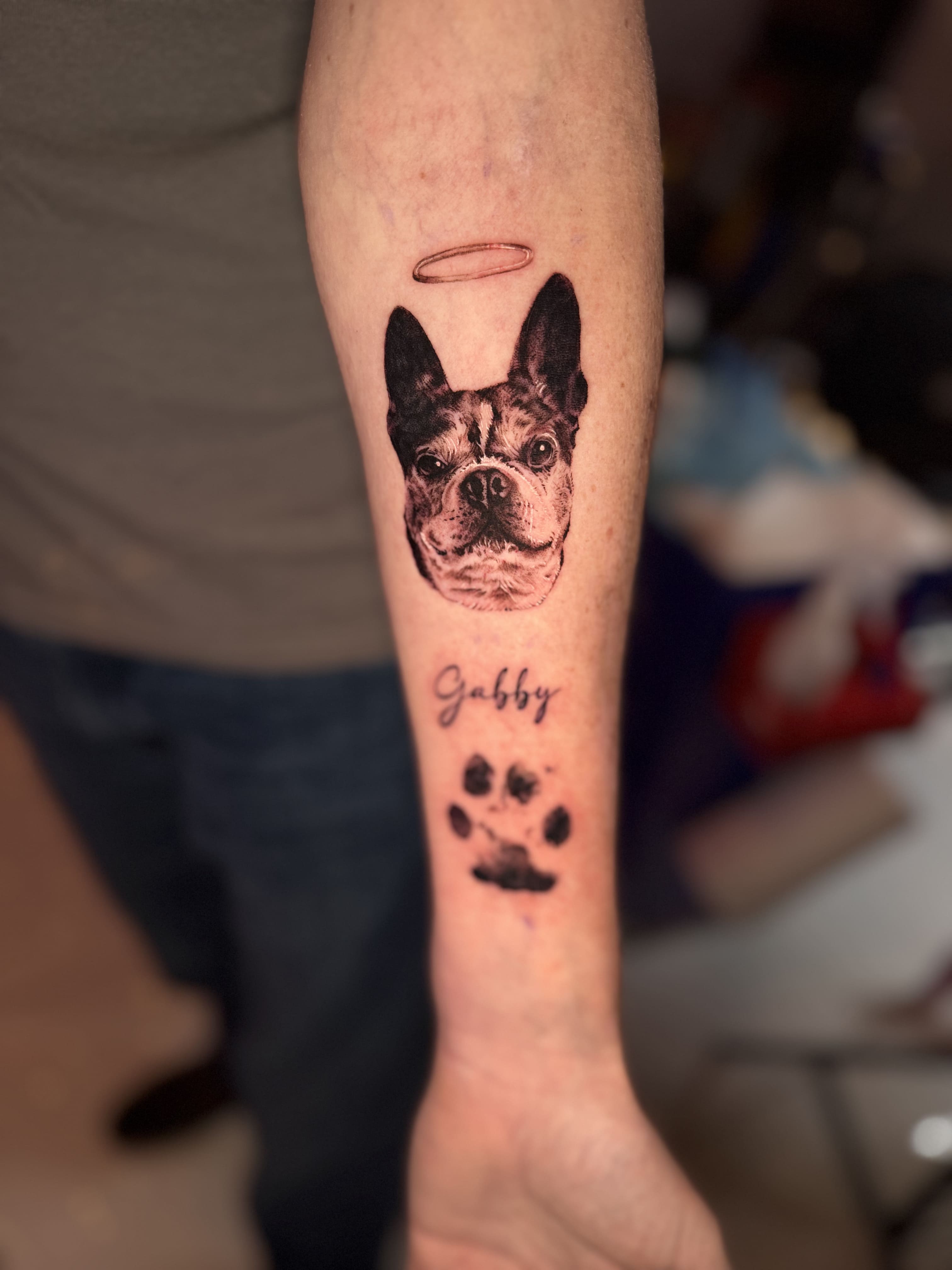 Memorial French Bulldog Portrait Tattoo