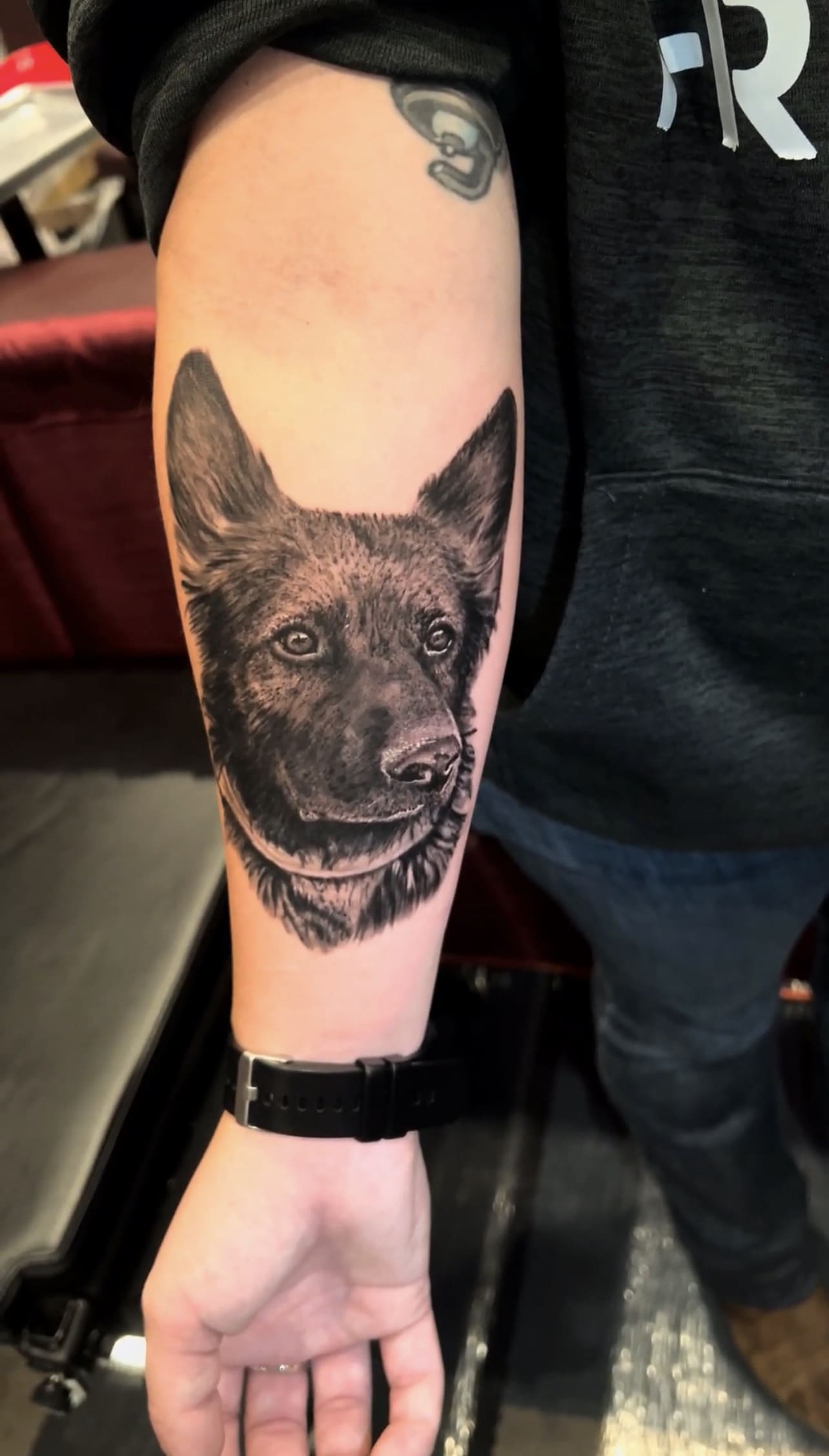 Black & Grey Realistic Dog Portrait Forearm Tattoo
