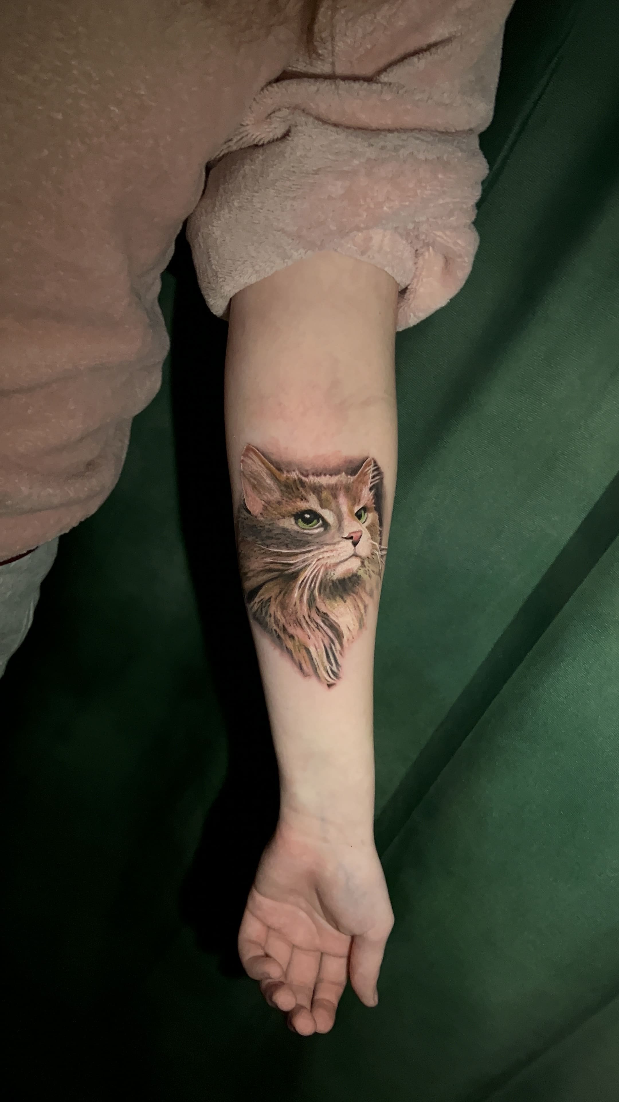 Realistic Color Cat Portrait Forearm Tattoo