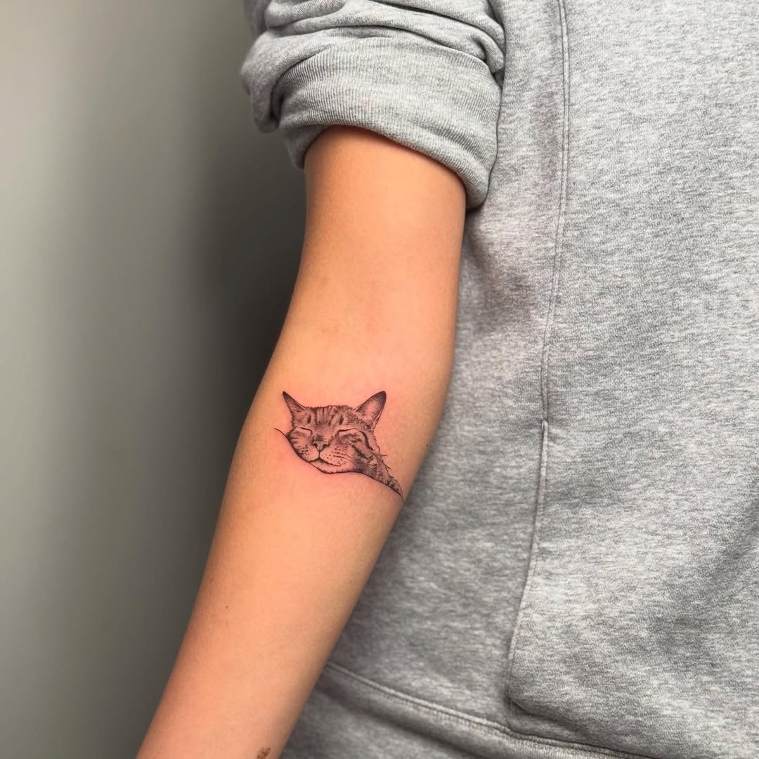 Fine Line Sleepy Cat Forearm Tattoo