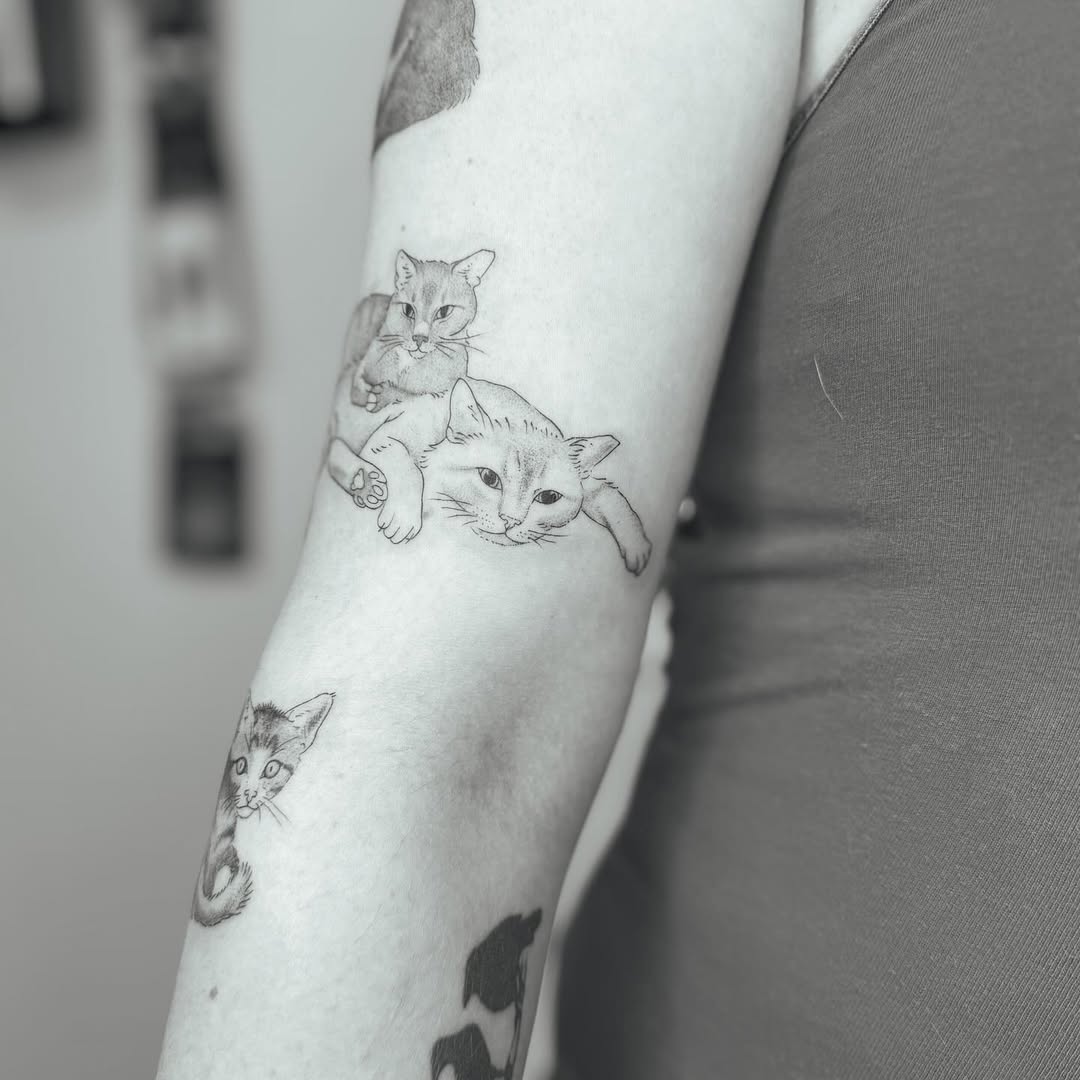 Fine Line Cat Trio Tattoo