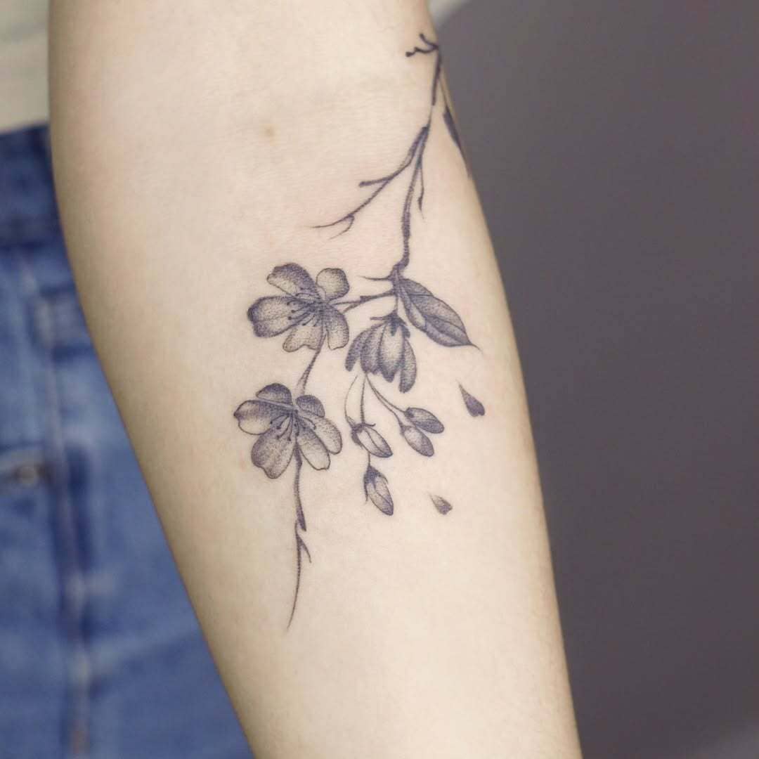 Delicate Cherry Blossom Branch