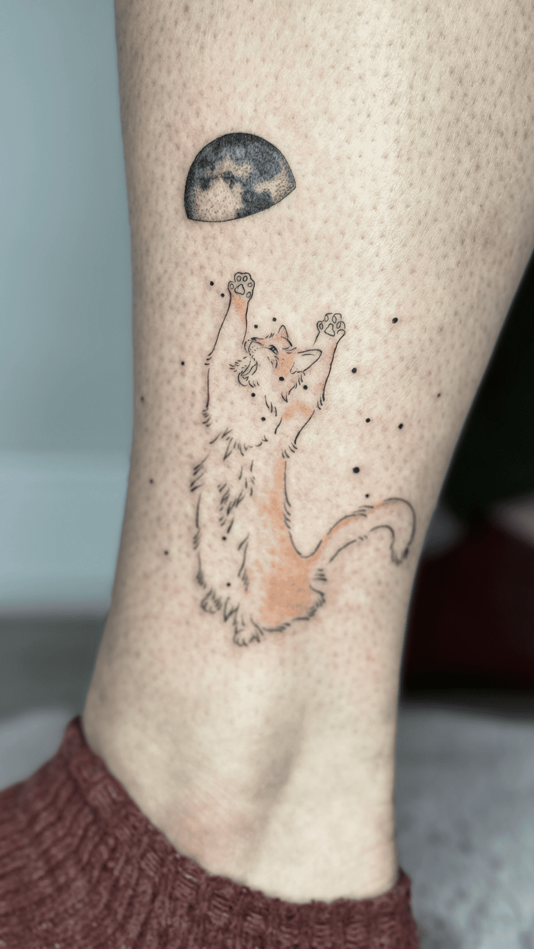 Playful Cat Reaching for the Moon