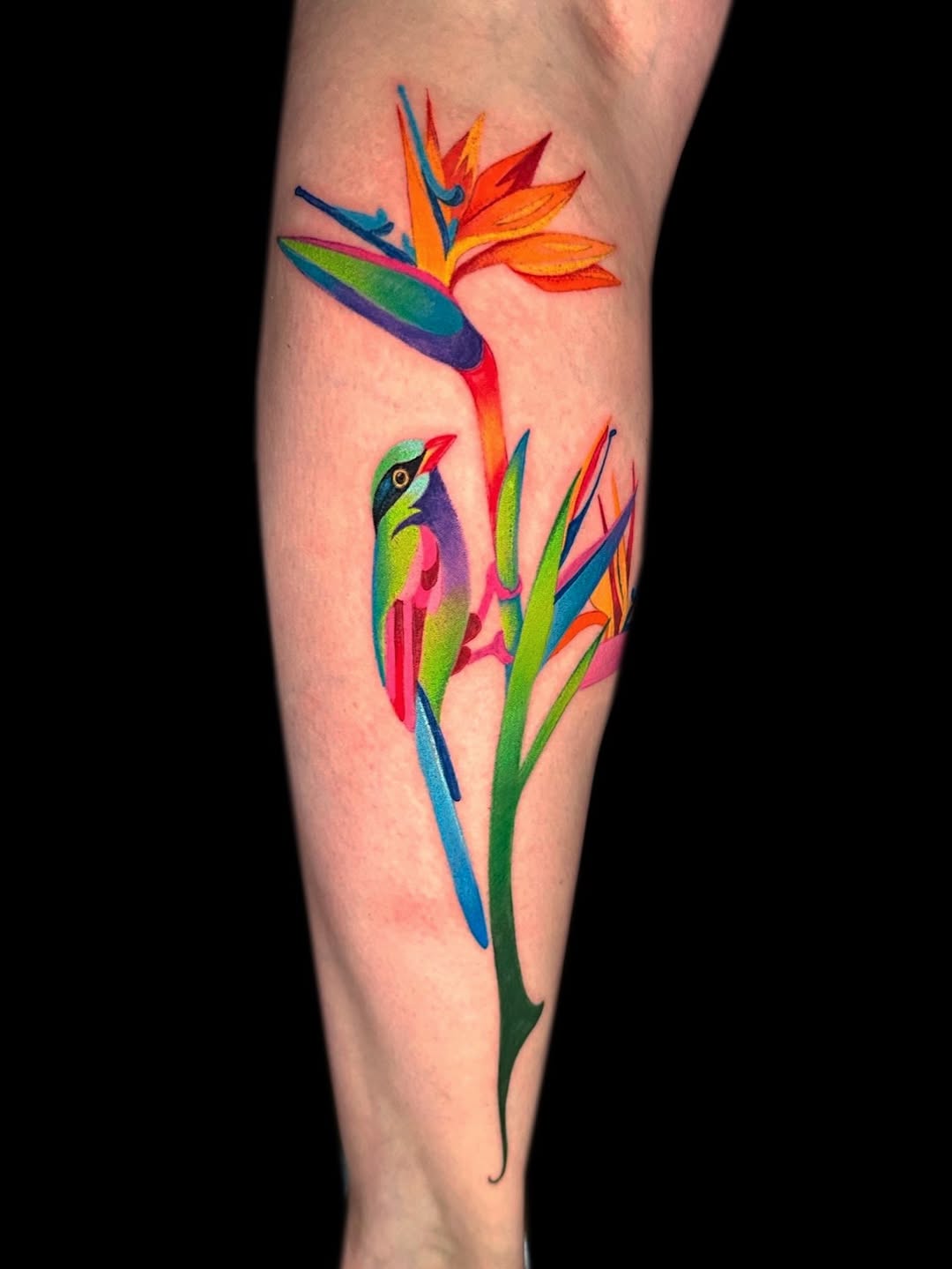 Bird of Paradise with Tropical Songbird