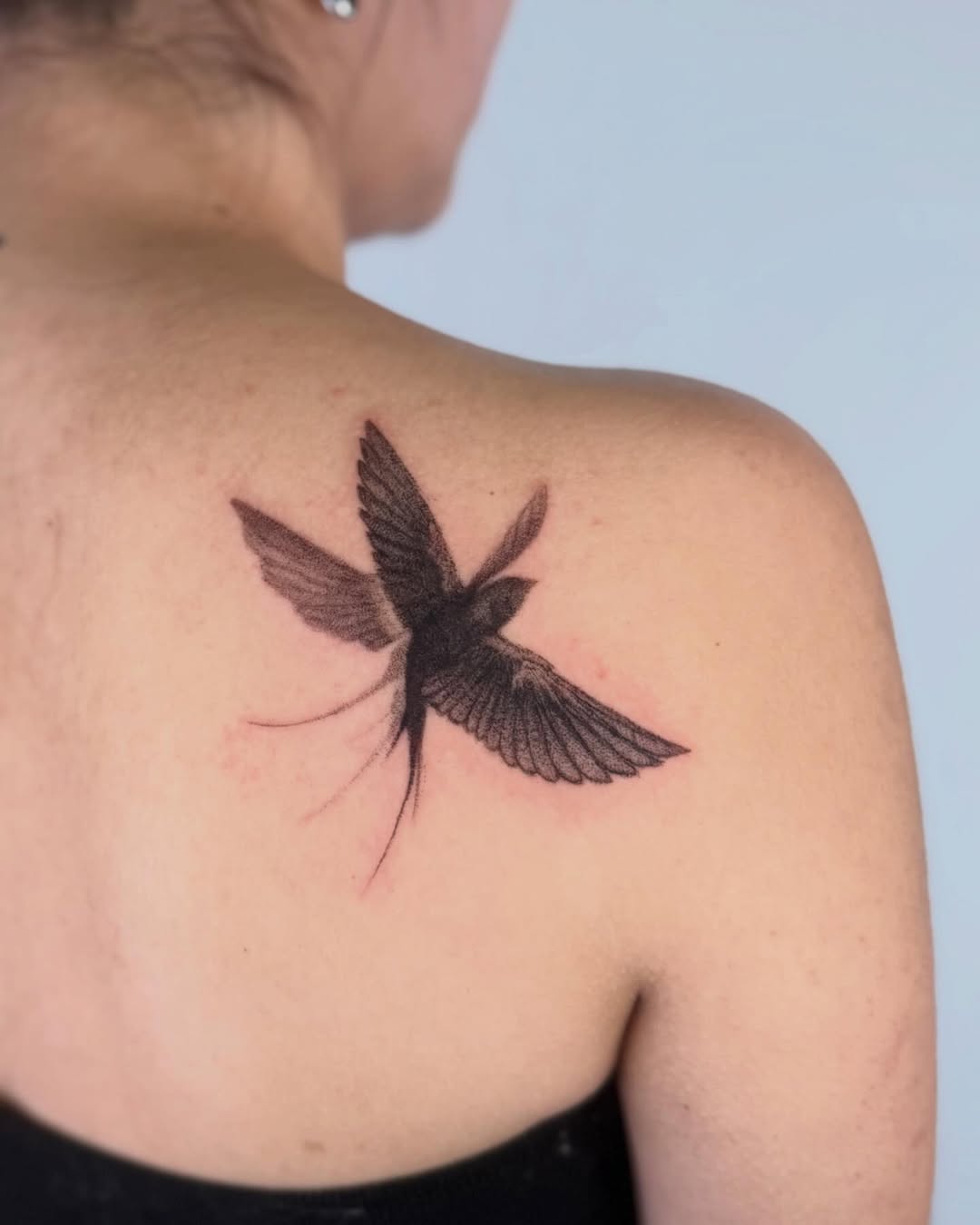 Swallow in Flight Tattoo