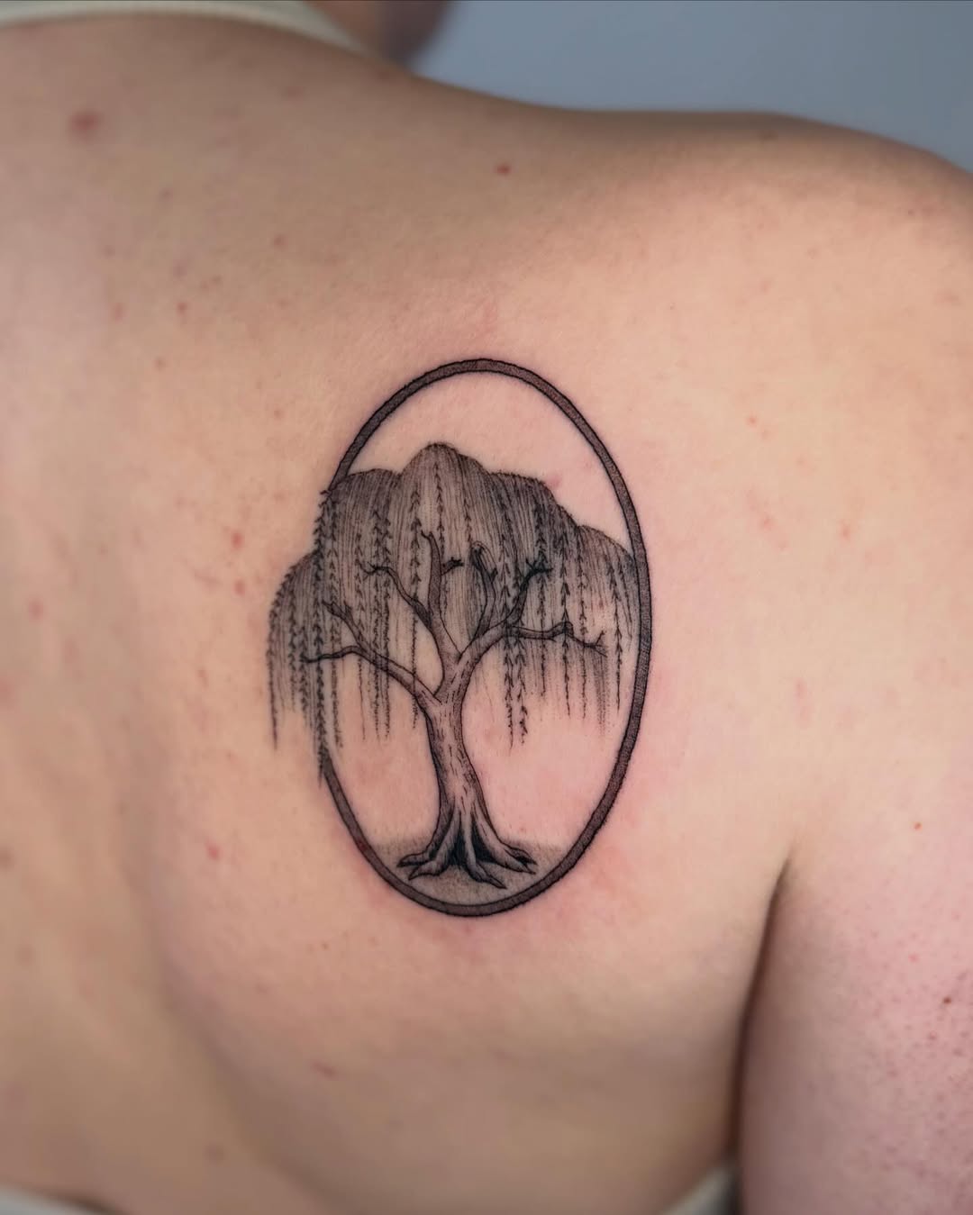 Willow Tree Framed Tattoo