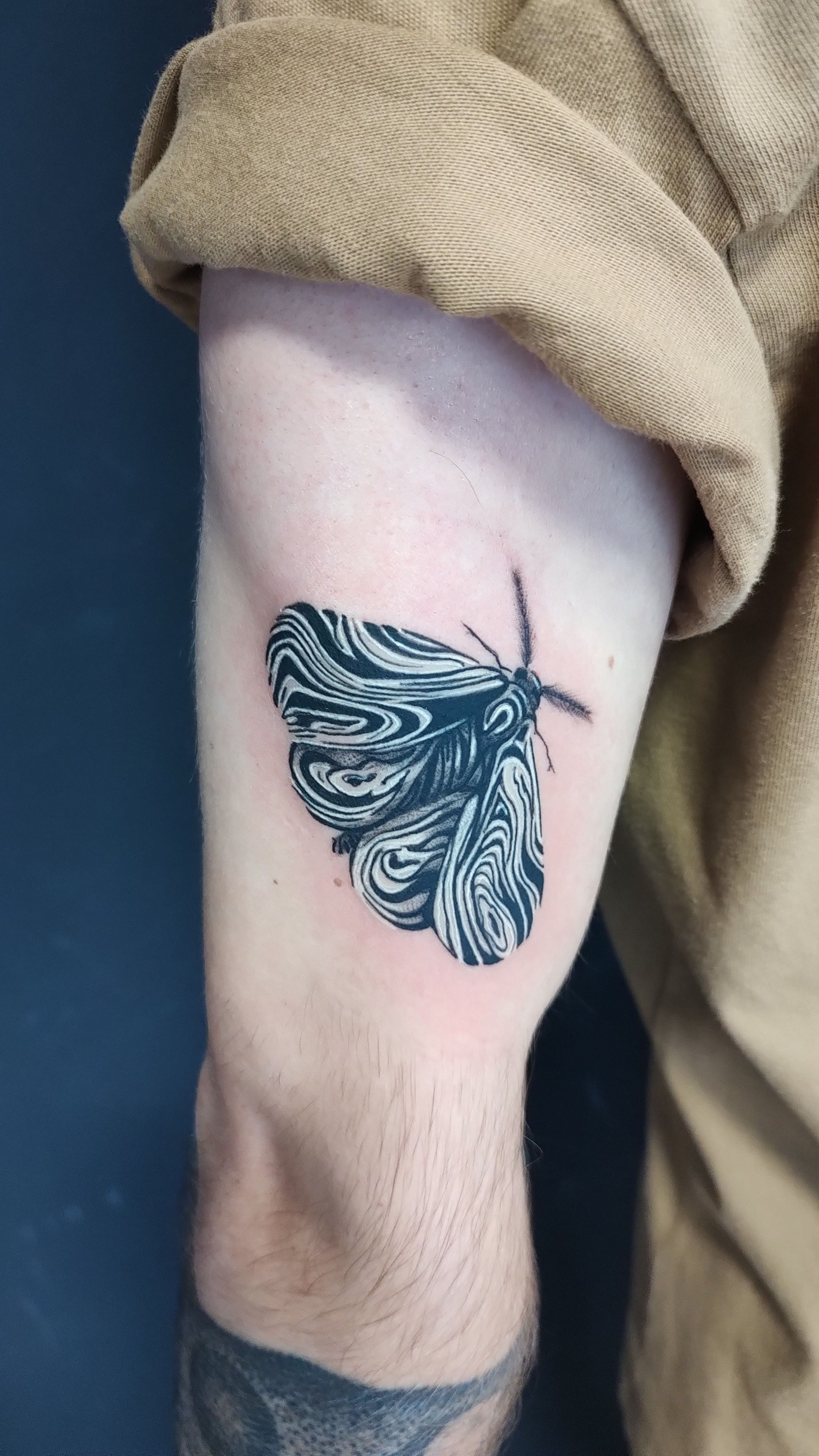 Abstract Linework Moth Tattoo