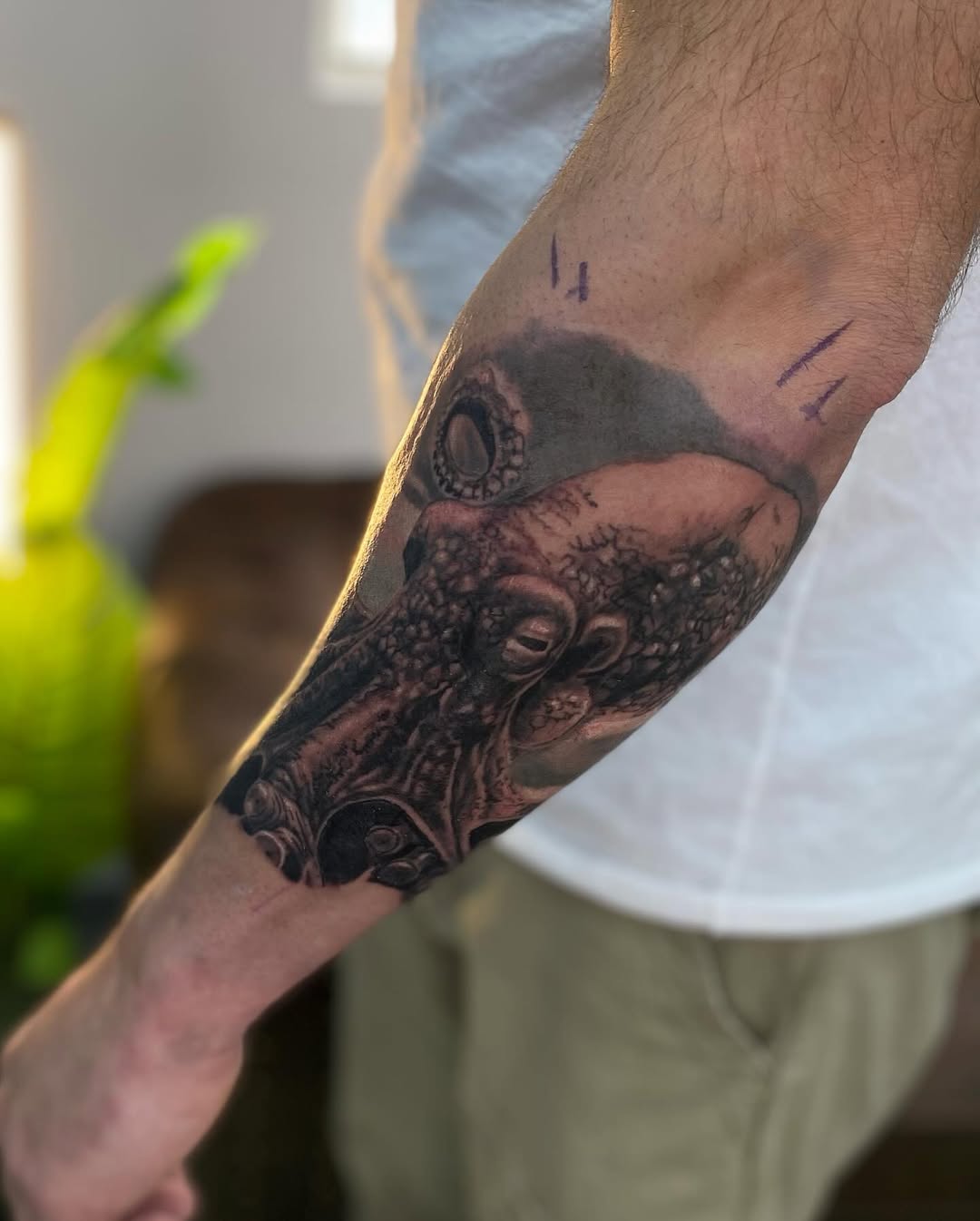 Octopus & Nautical Compass Realism Forearm Tattoo