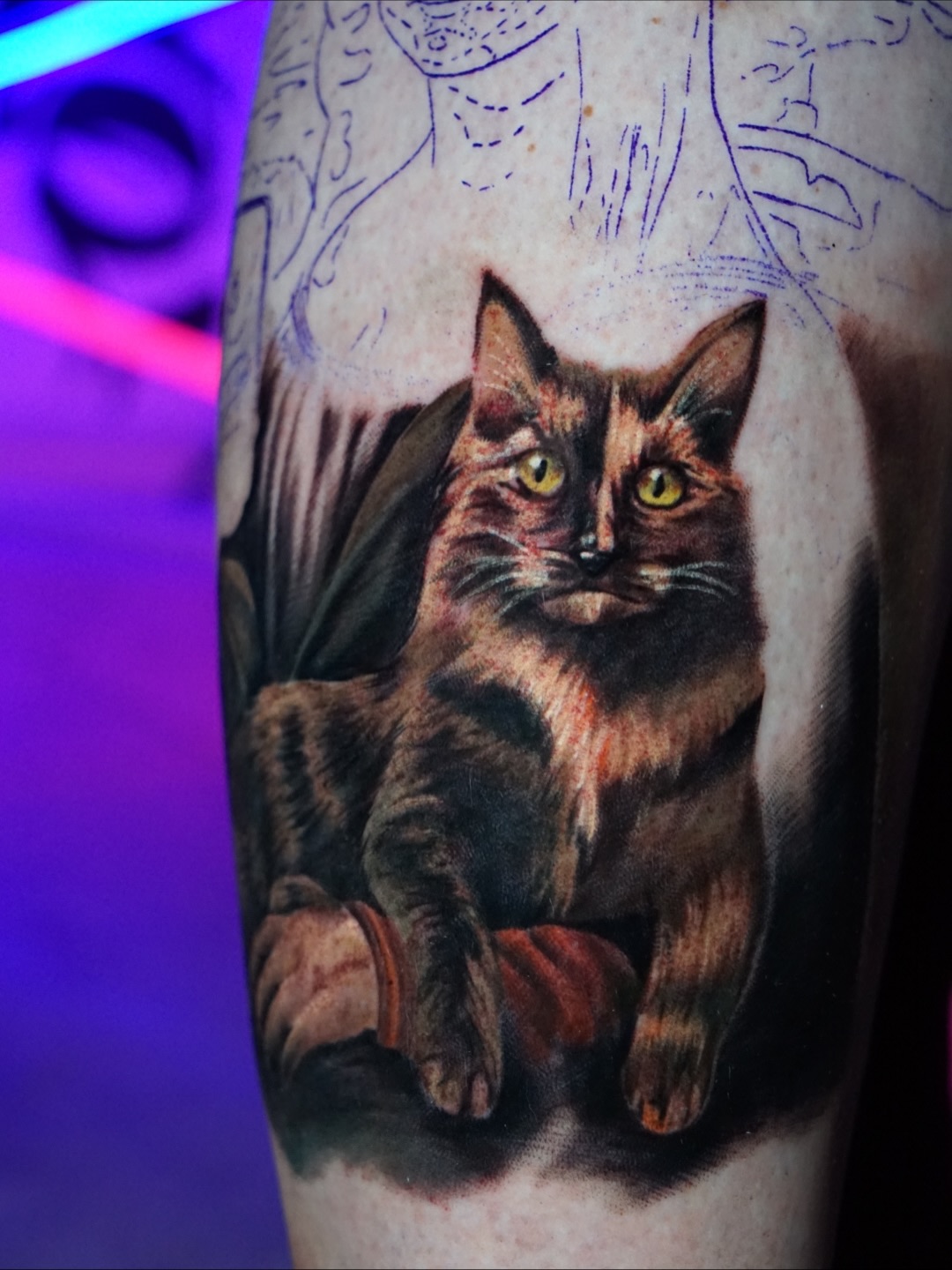 Golden Gaze – Cat Portrait Realism