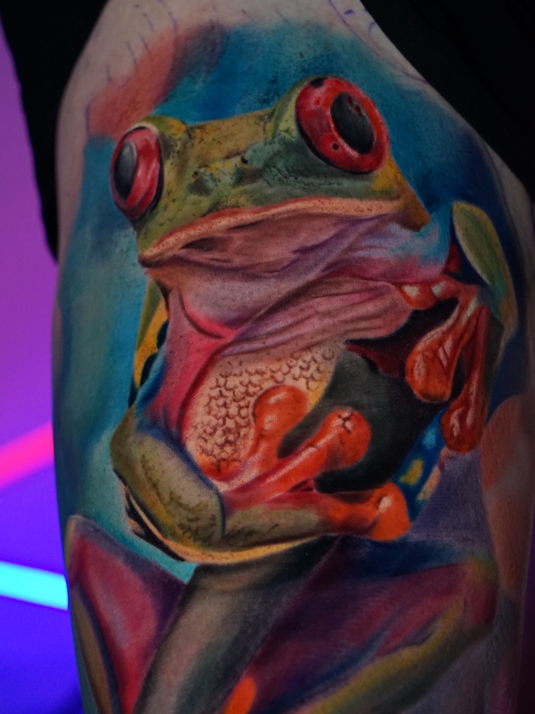 Vivid Pulse – Red-Eyed Tree Frog