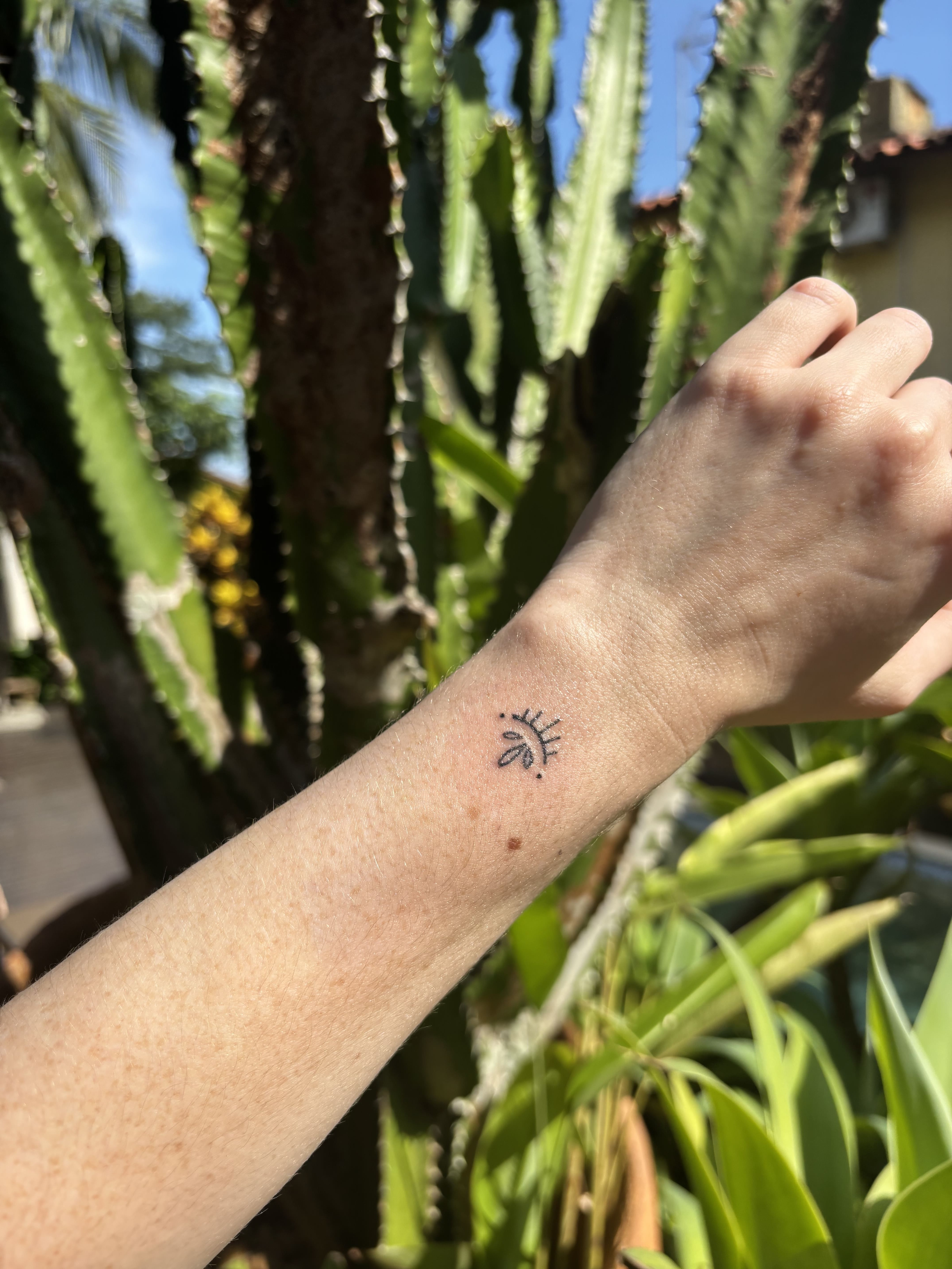 Œil solaire minimaliste