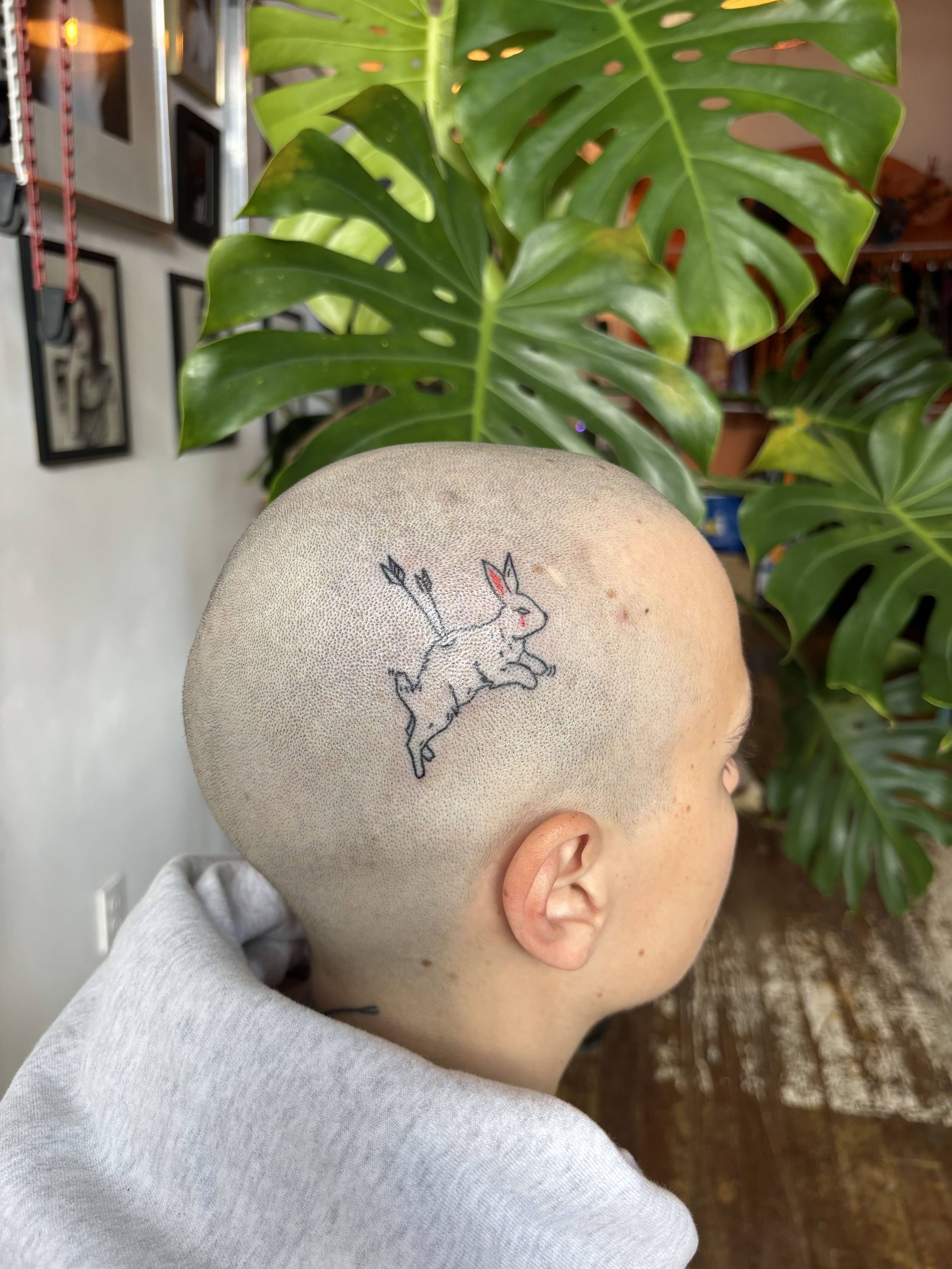 Lapin espiègle transpercé de flèches