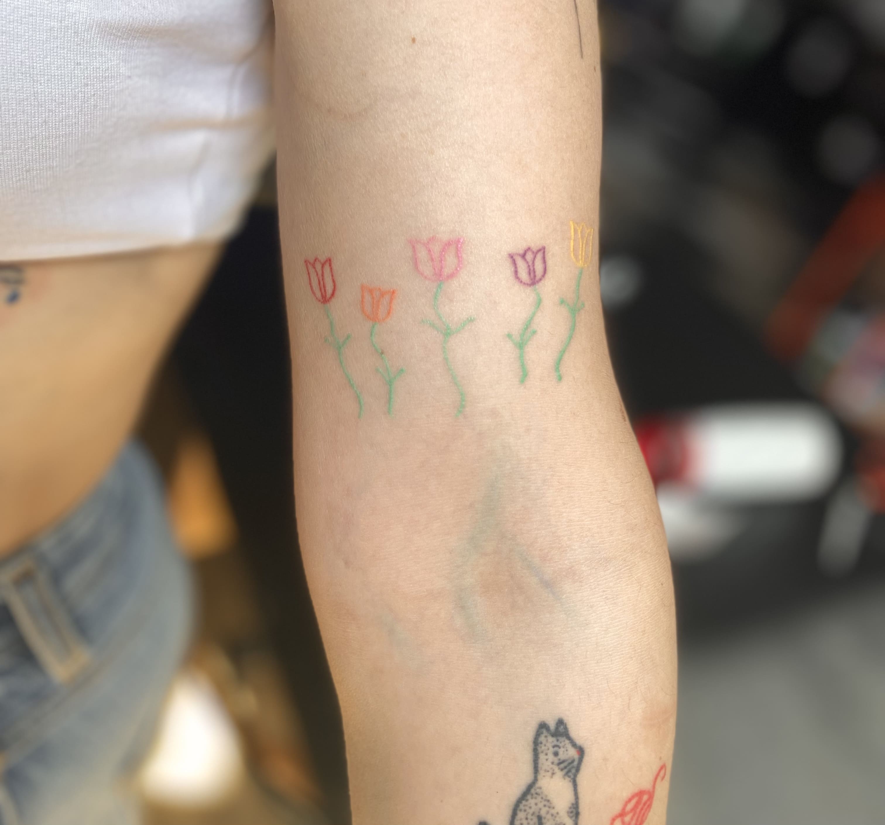 Tulipes colorées en ligne