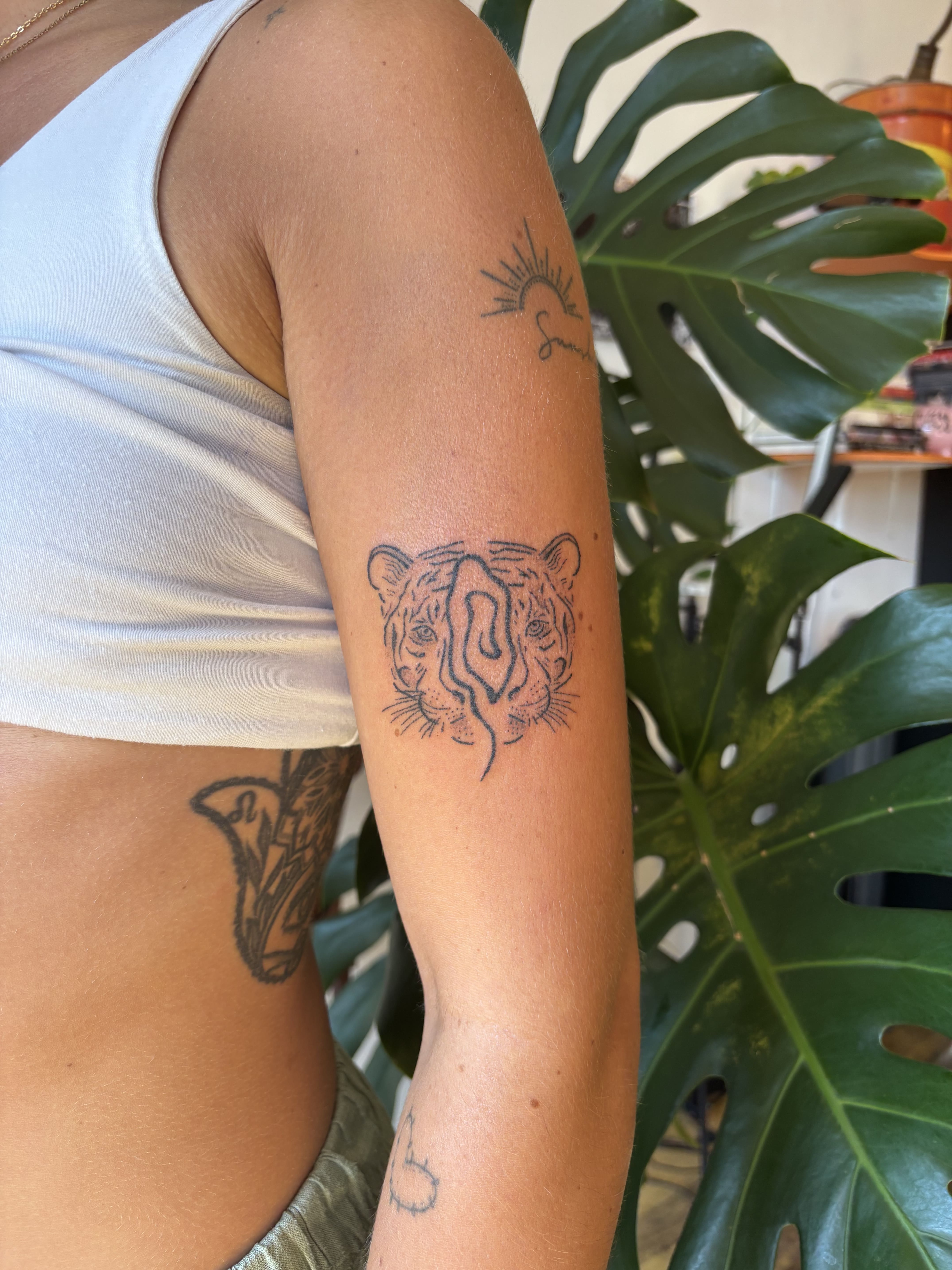 Tigre intérieur et métamorphose