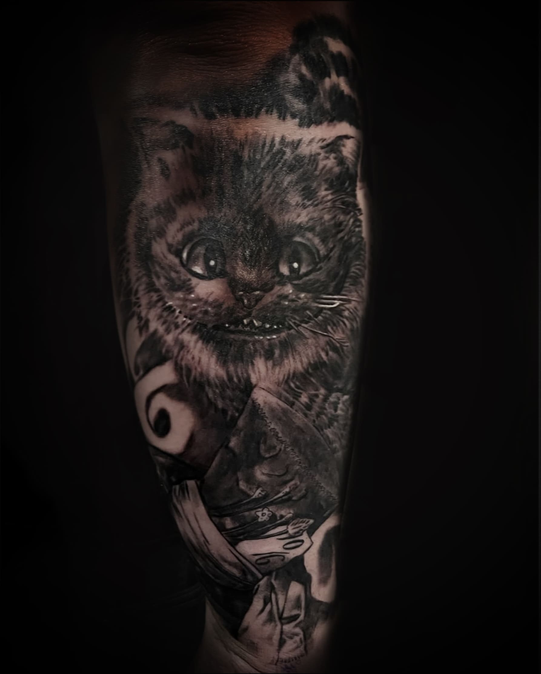 Cheshire Cat in Shadows