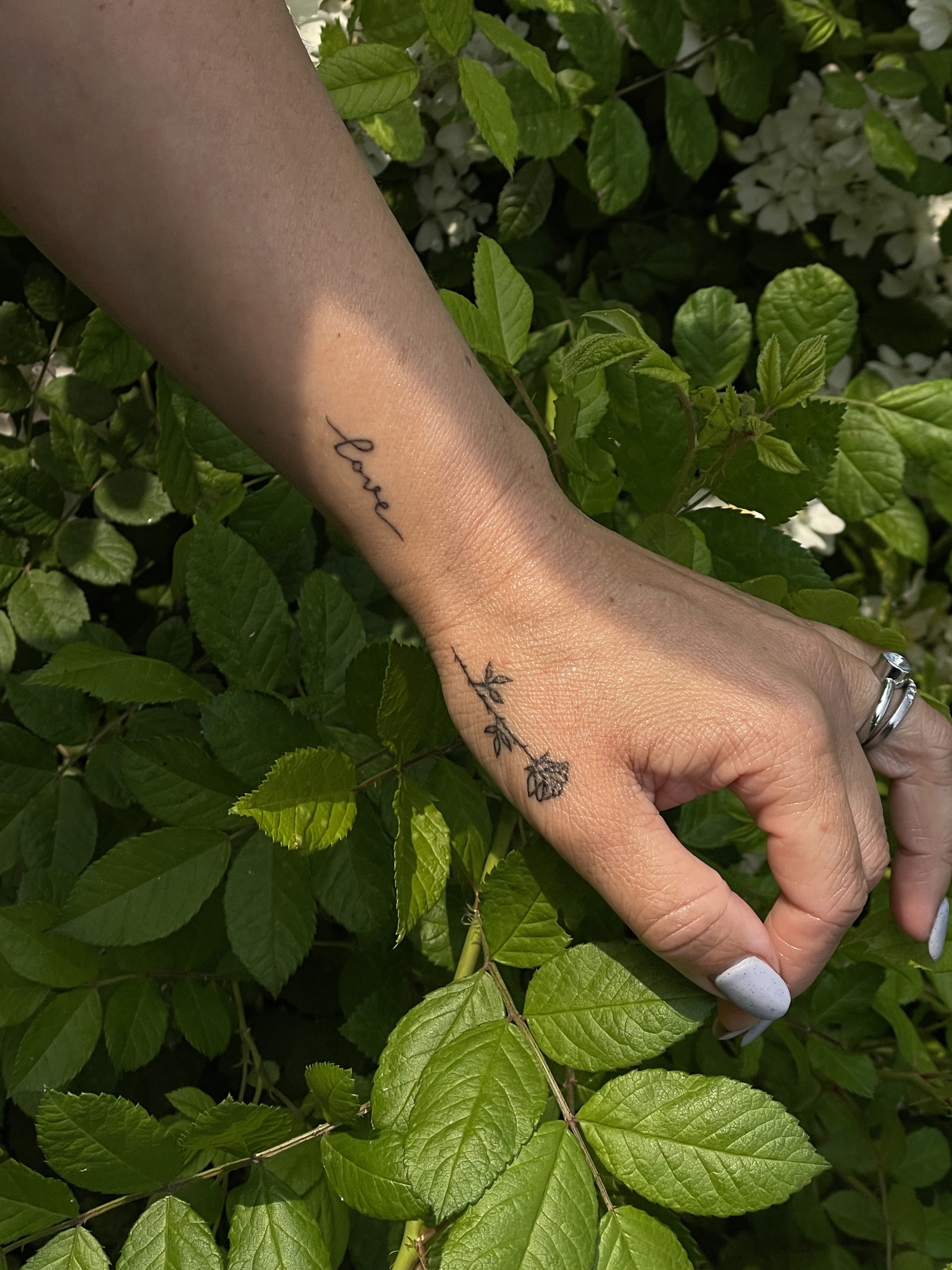 Soft Lines, Strong Meaning