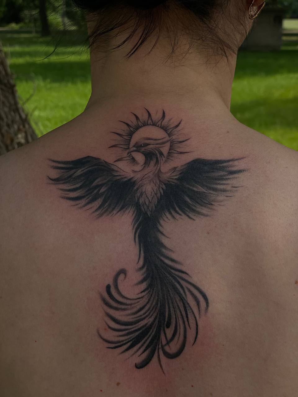 Rising Phoenix with Solar Halo