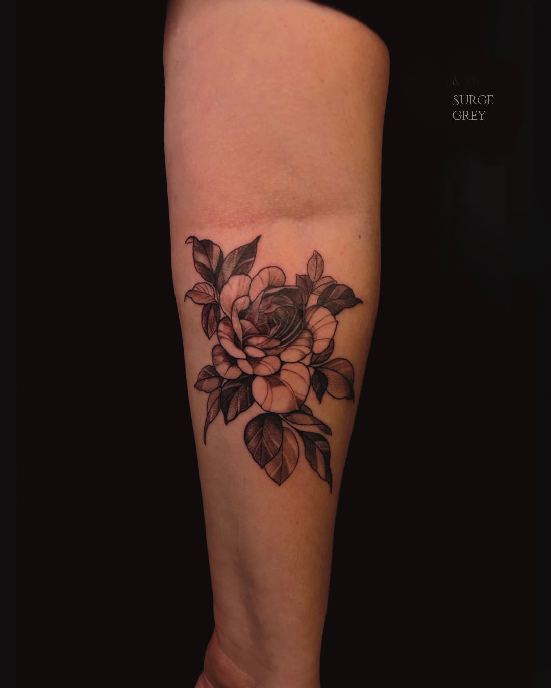 Rose Composition Over Scar