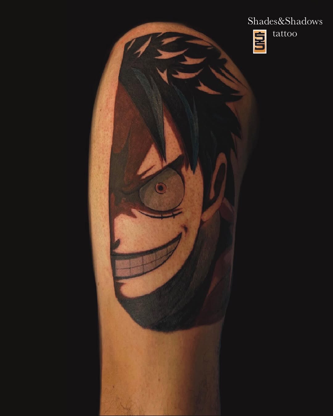 Split Luffy Anime Portrait