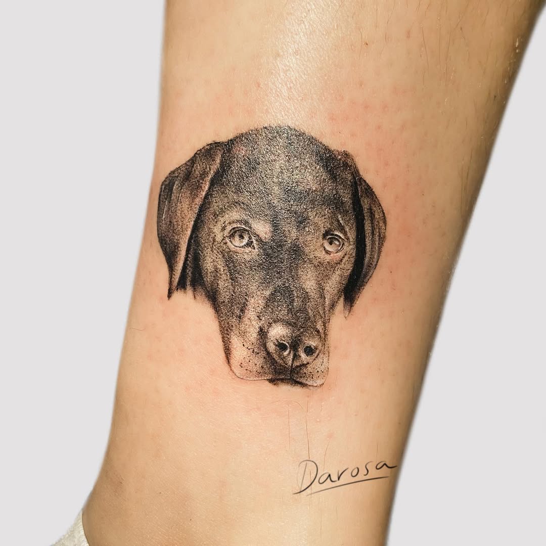 Feines Hunde-Porträt in Schwarzgrau