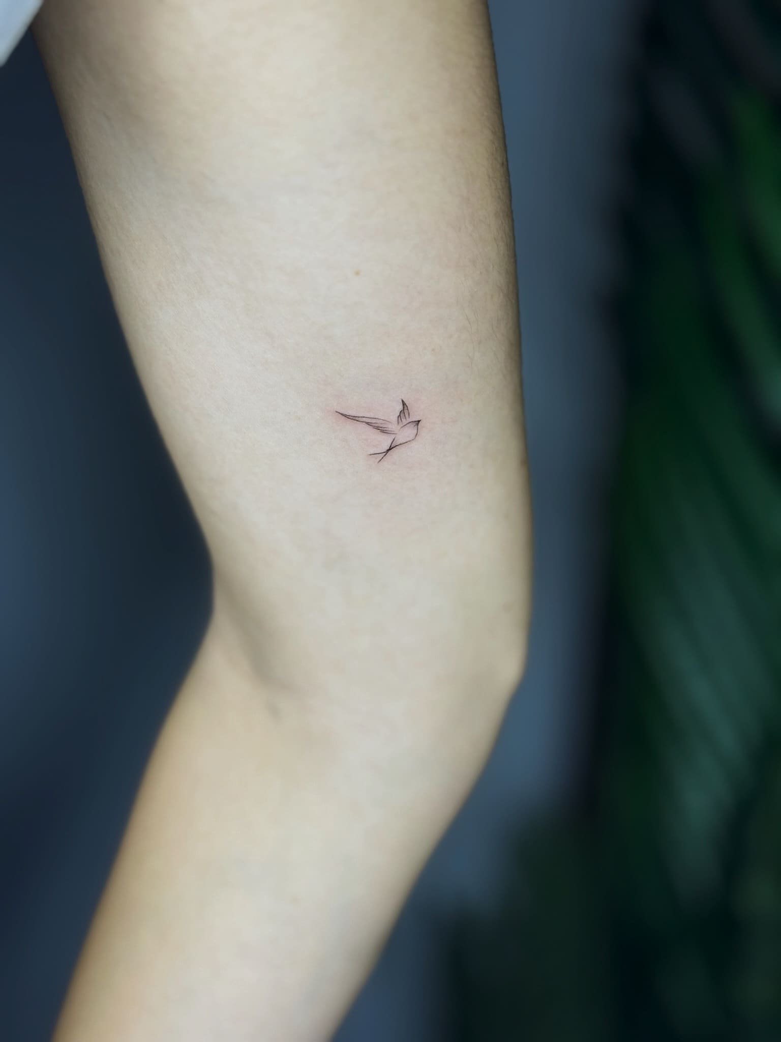 Minimalist Flying Bird Tattoo