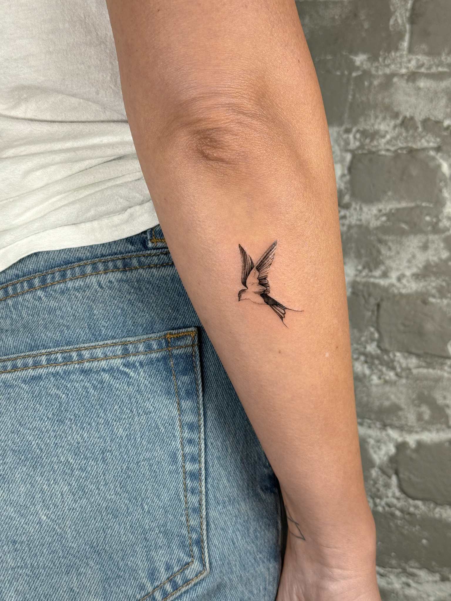Fine Line Realistic Swallow Tattoo