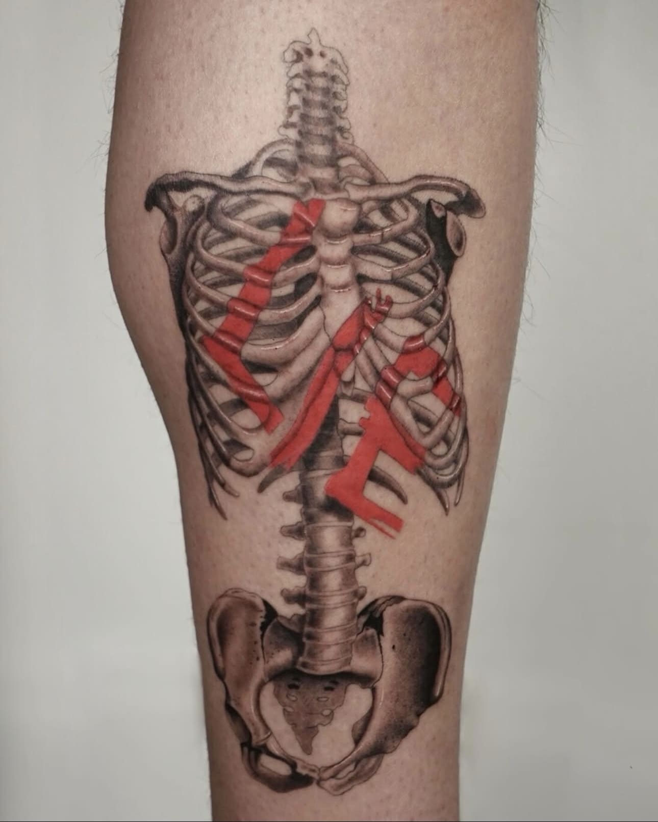Anatomical Skeleton with Red Abstract Accents