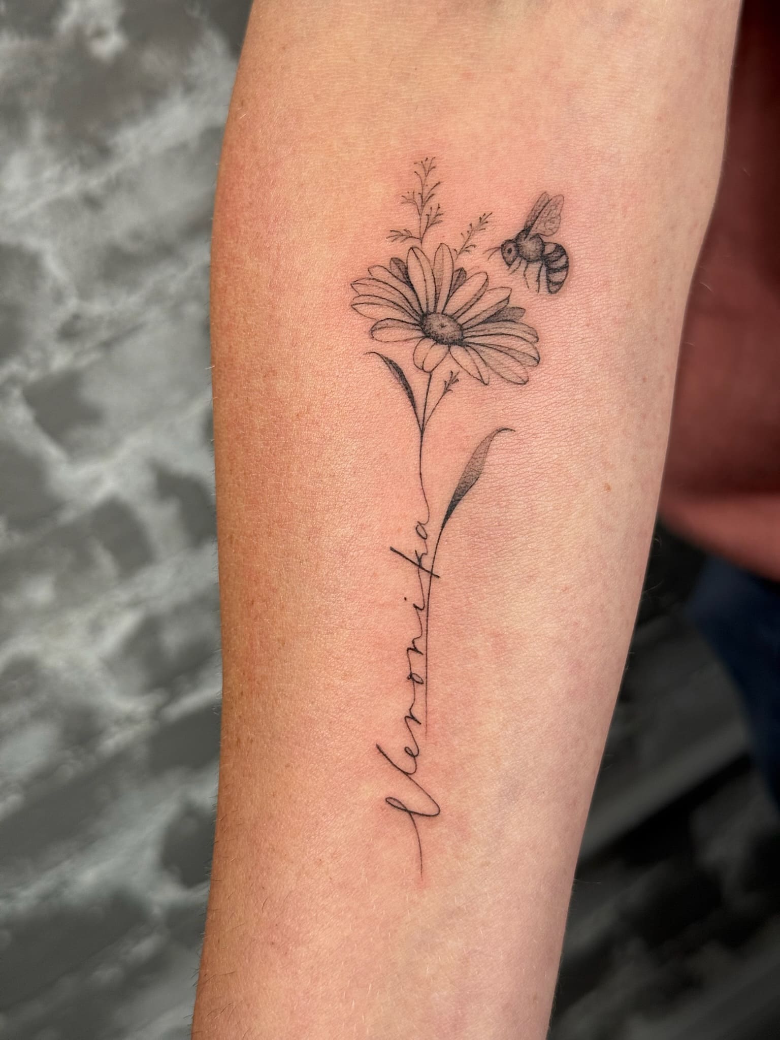 Delicate Daisy with Script Stem