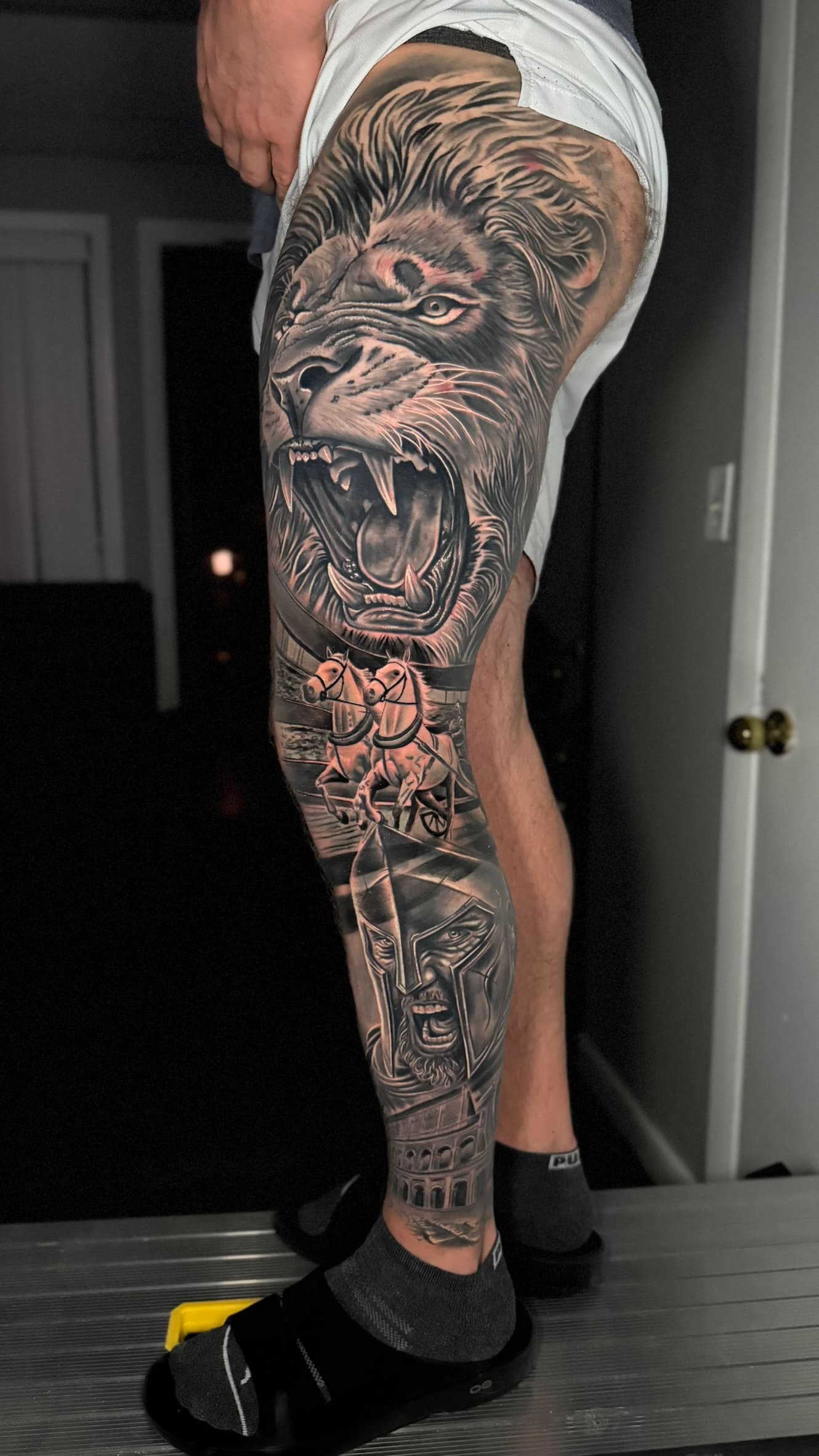 Lion & Warrior Leg Sleeve
