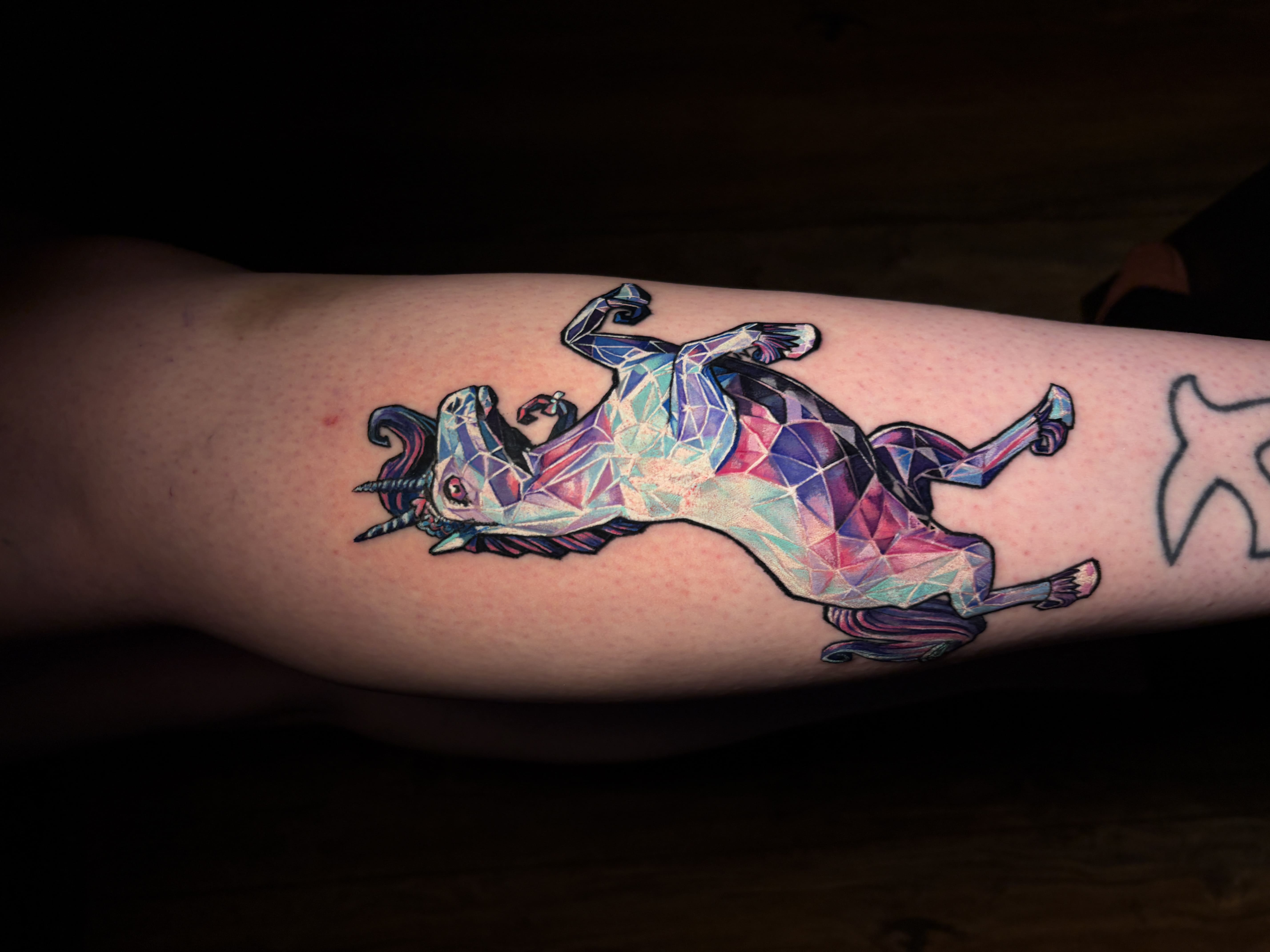 Geometric Unicorn
