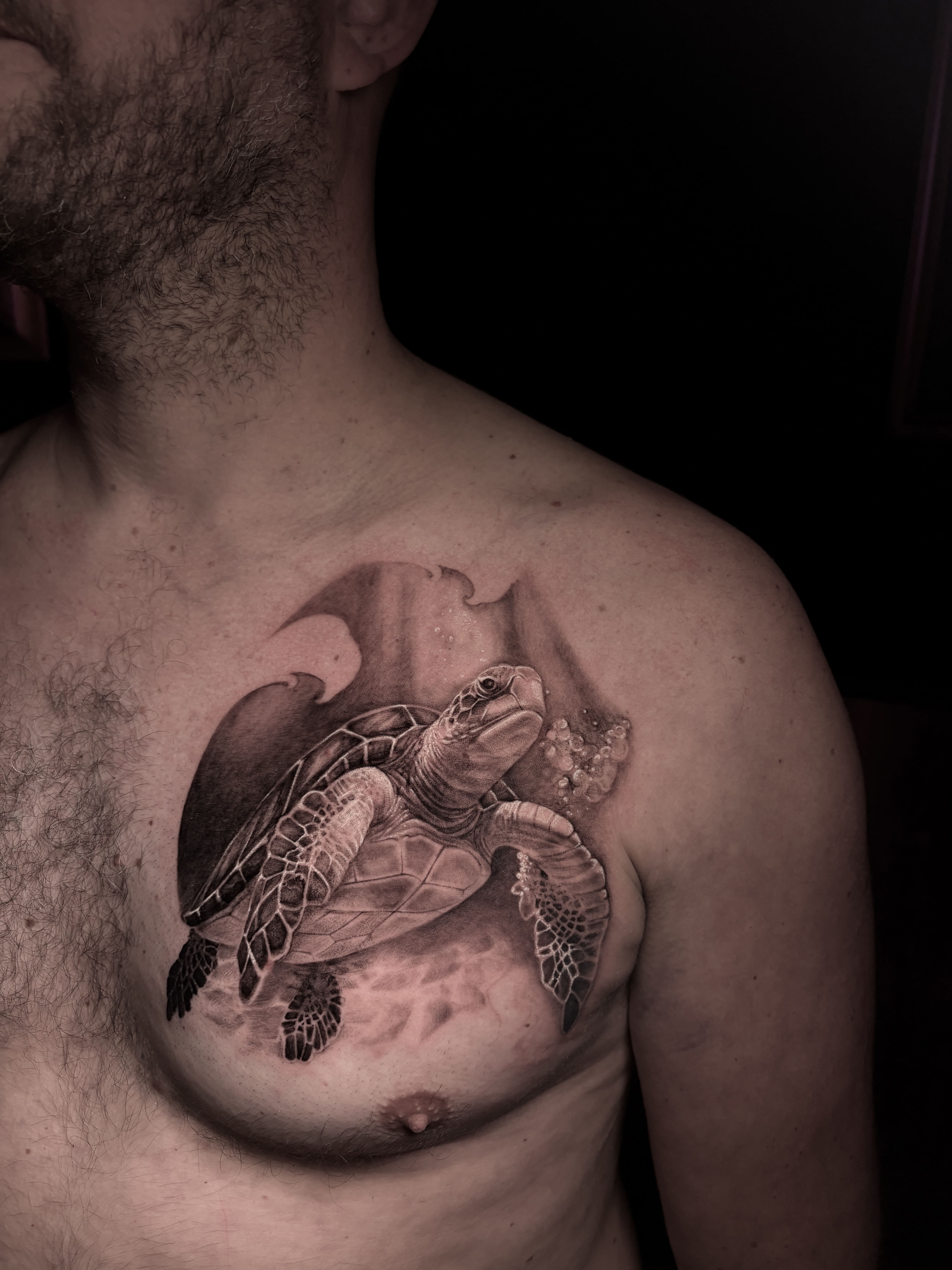 Ocean Guardian — Sea Turtle Realism