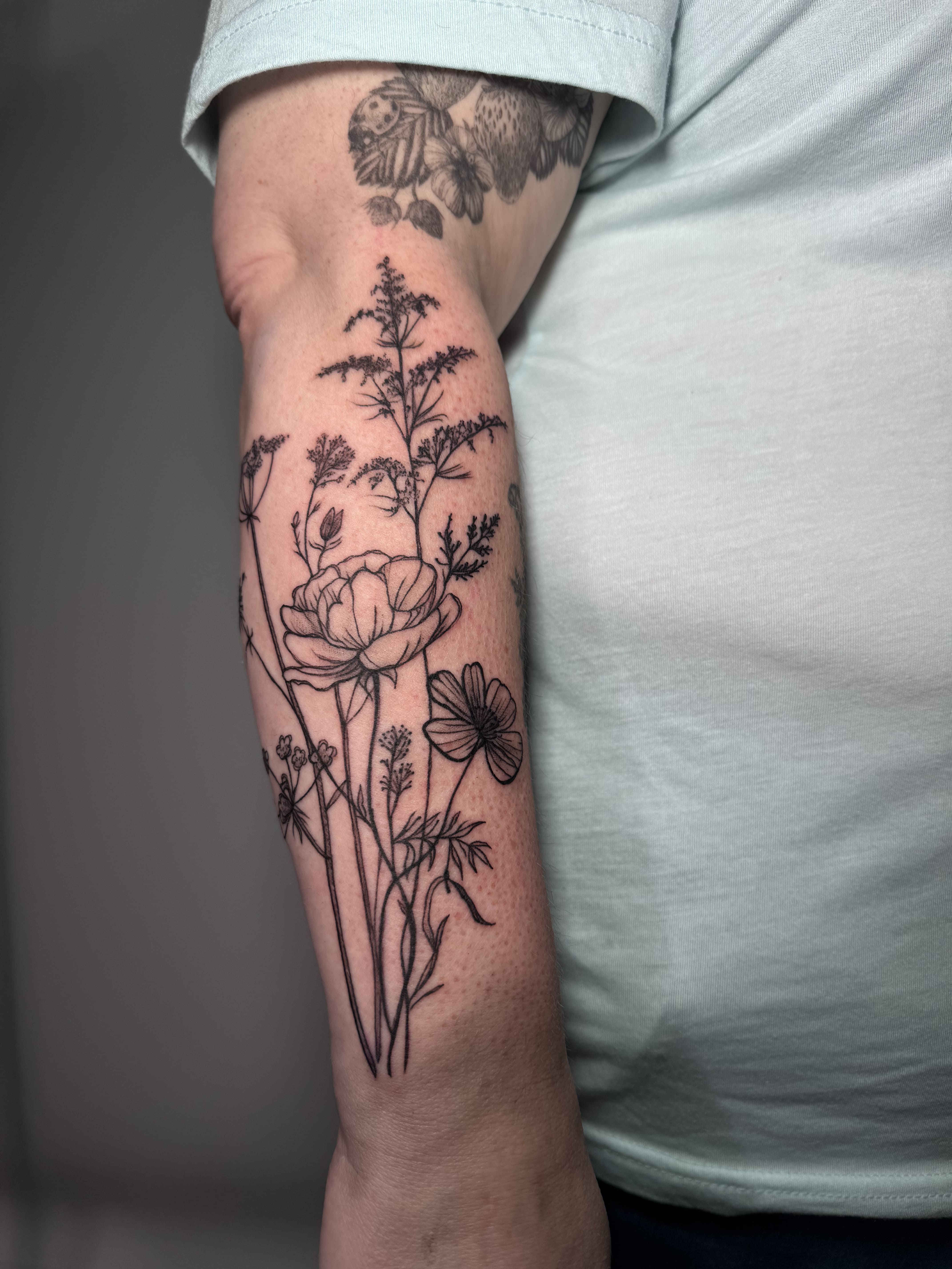 Wildflower Meadow Collection