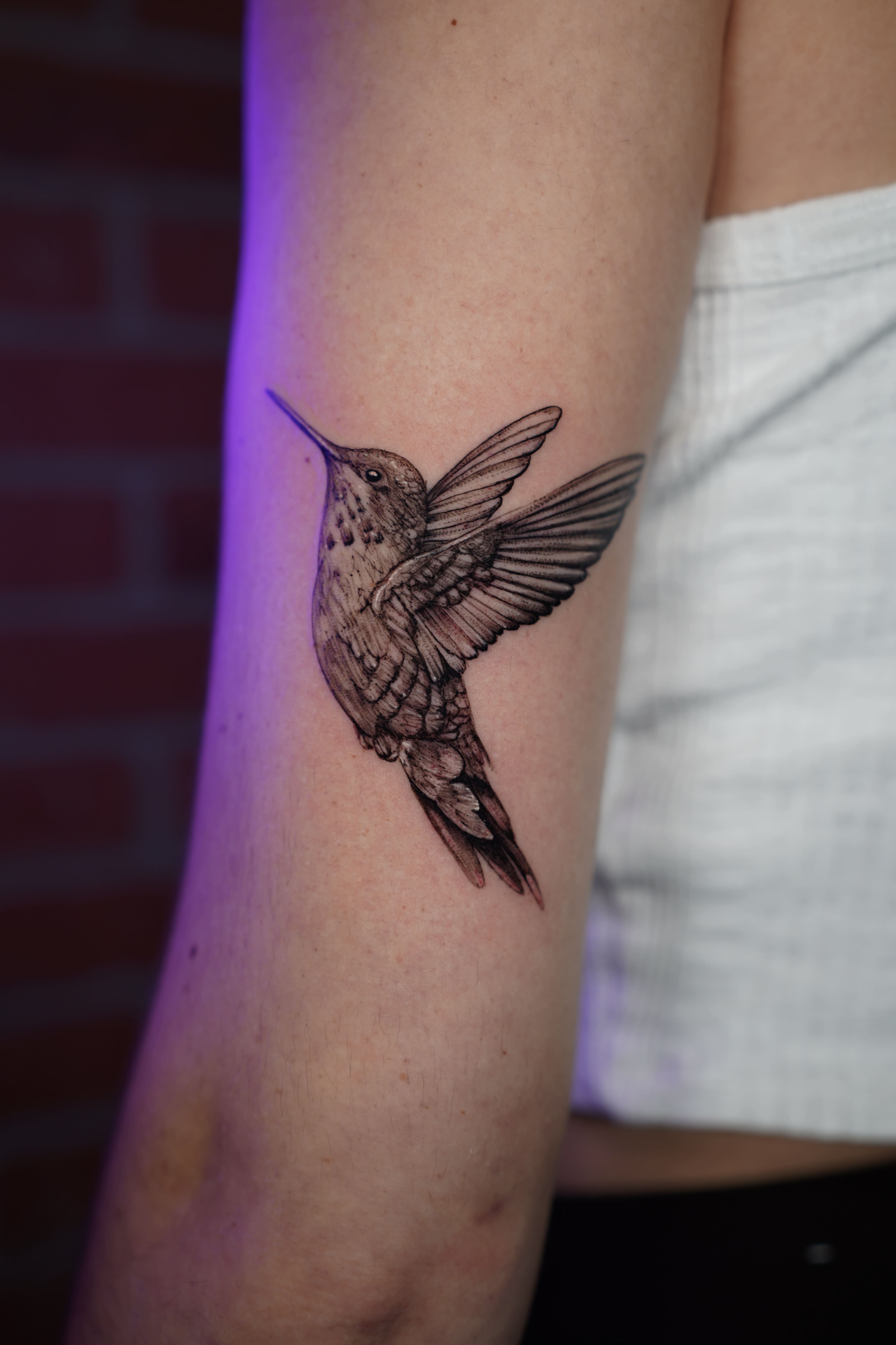 Graceful Hummingbird in Flight