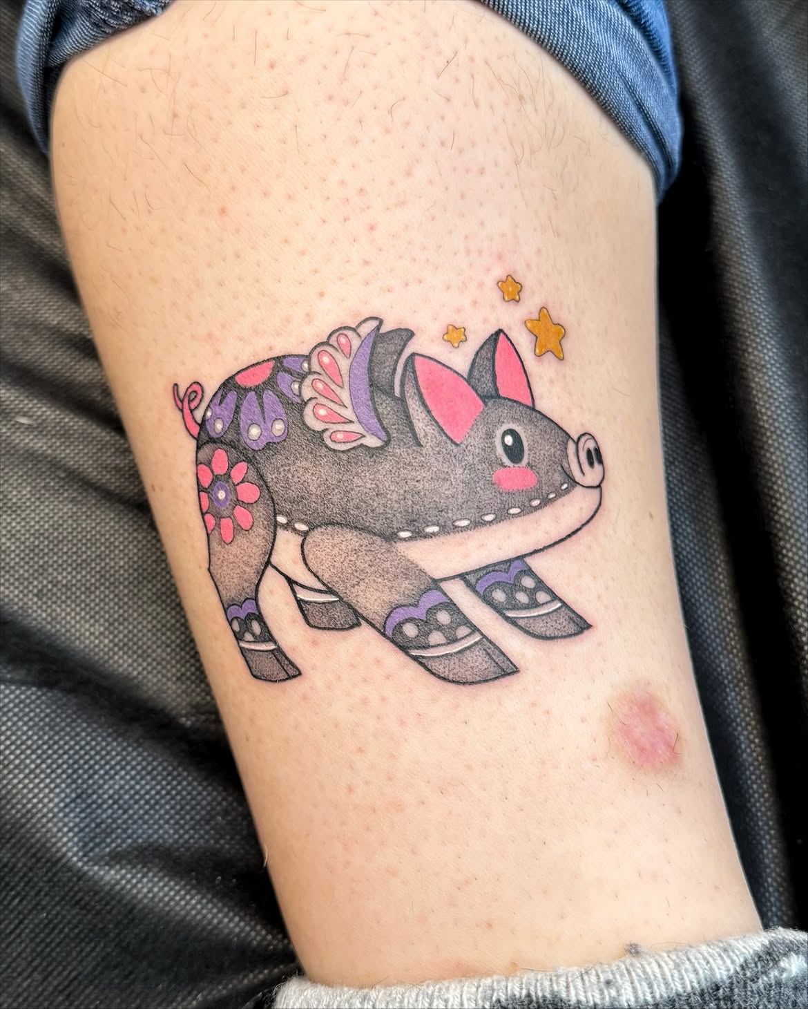 Colorful Folk Art Pig