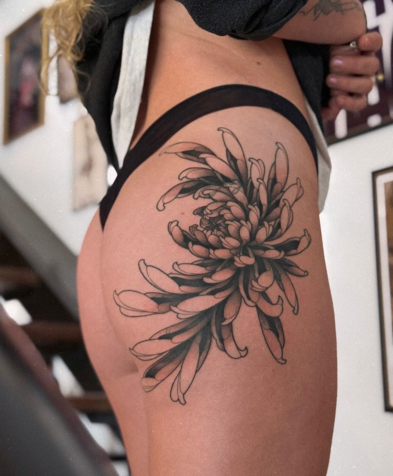 Chrysanthème délicat