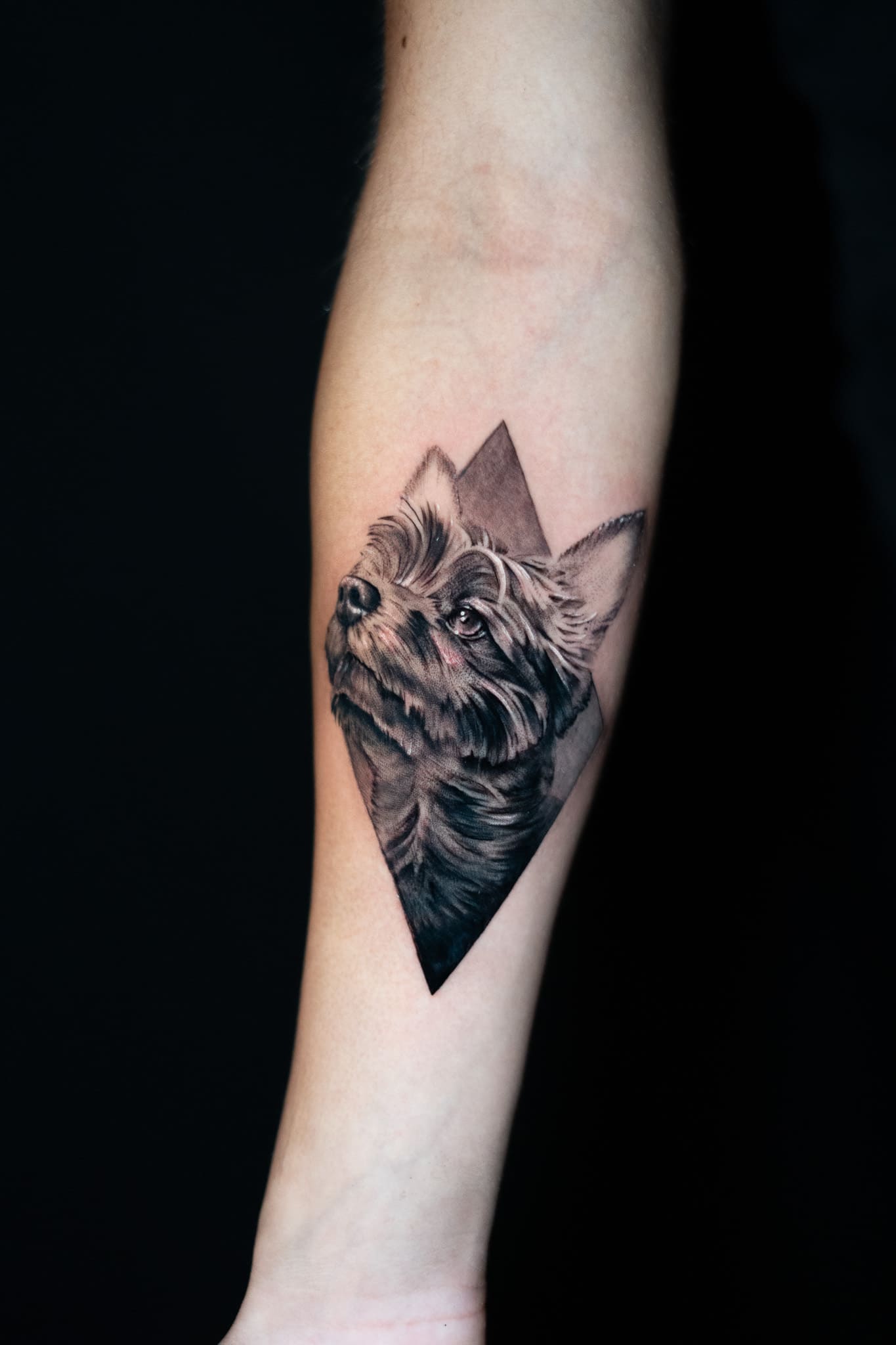 Geometric Dog Portrait