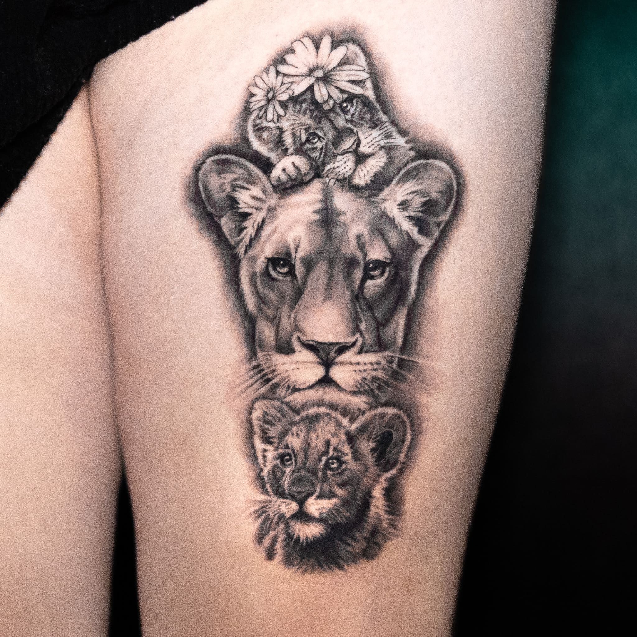 Lioness and Cubs