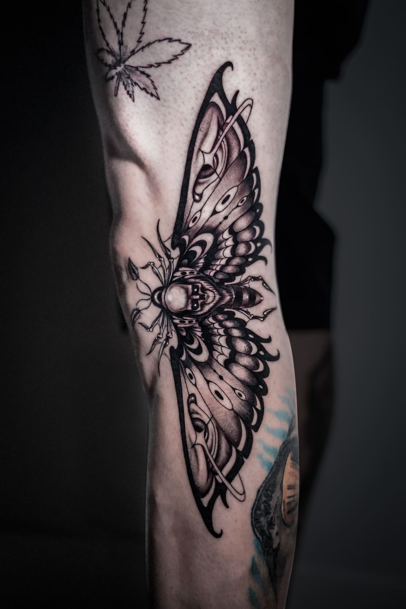 Ornamental Moth Tattoo