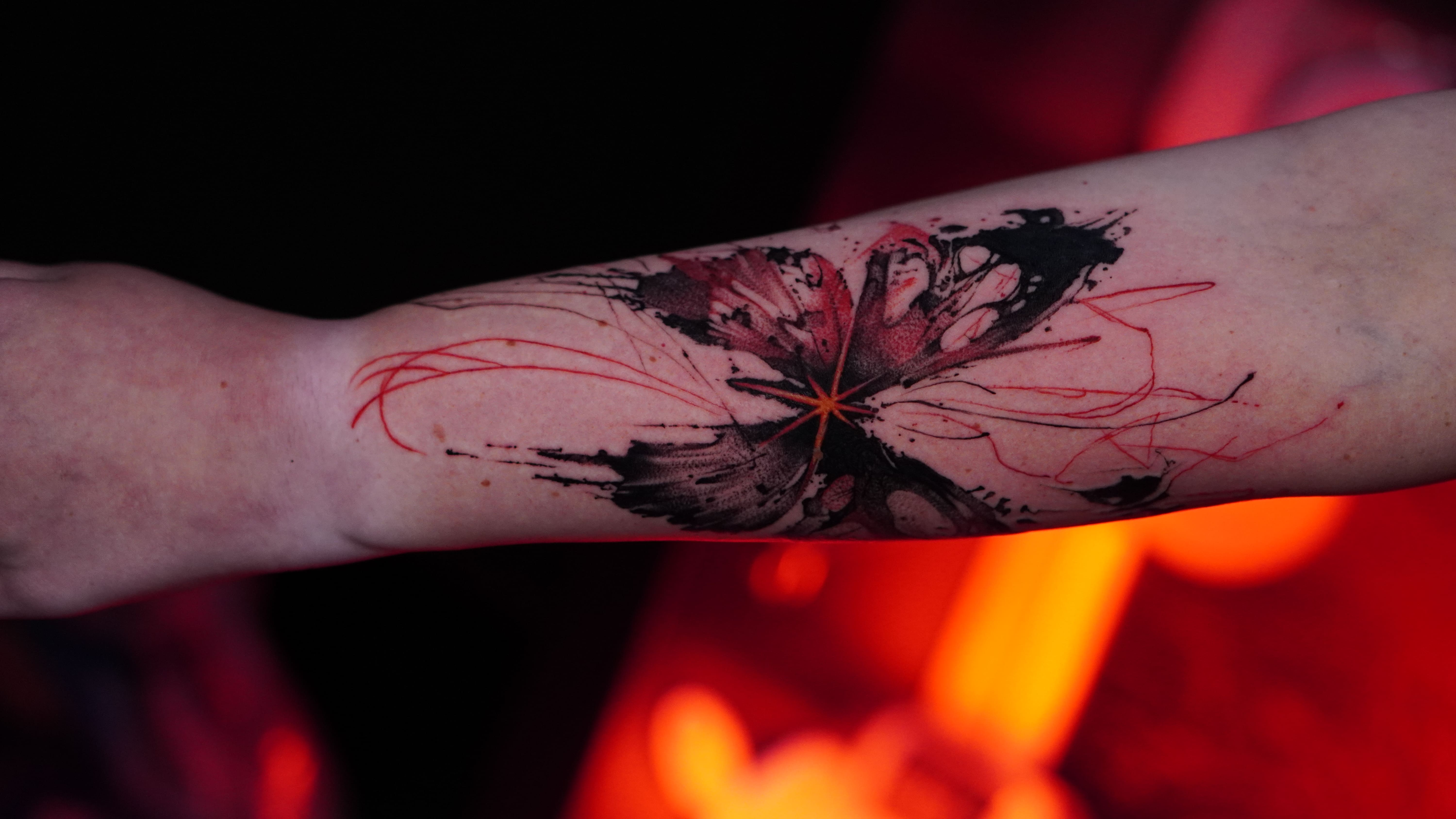 Ilya