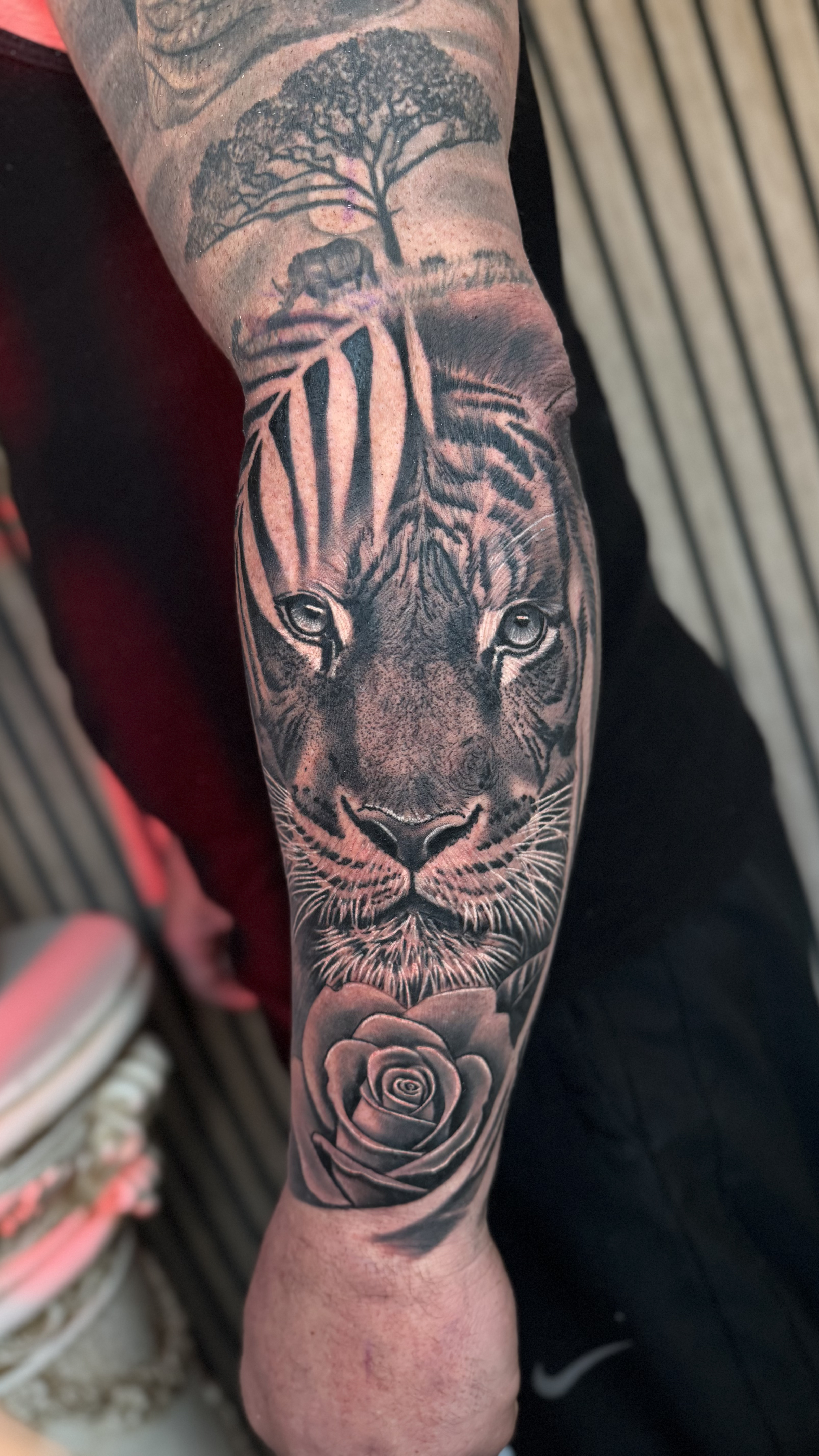 Tiger and African Savanna