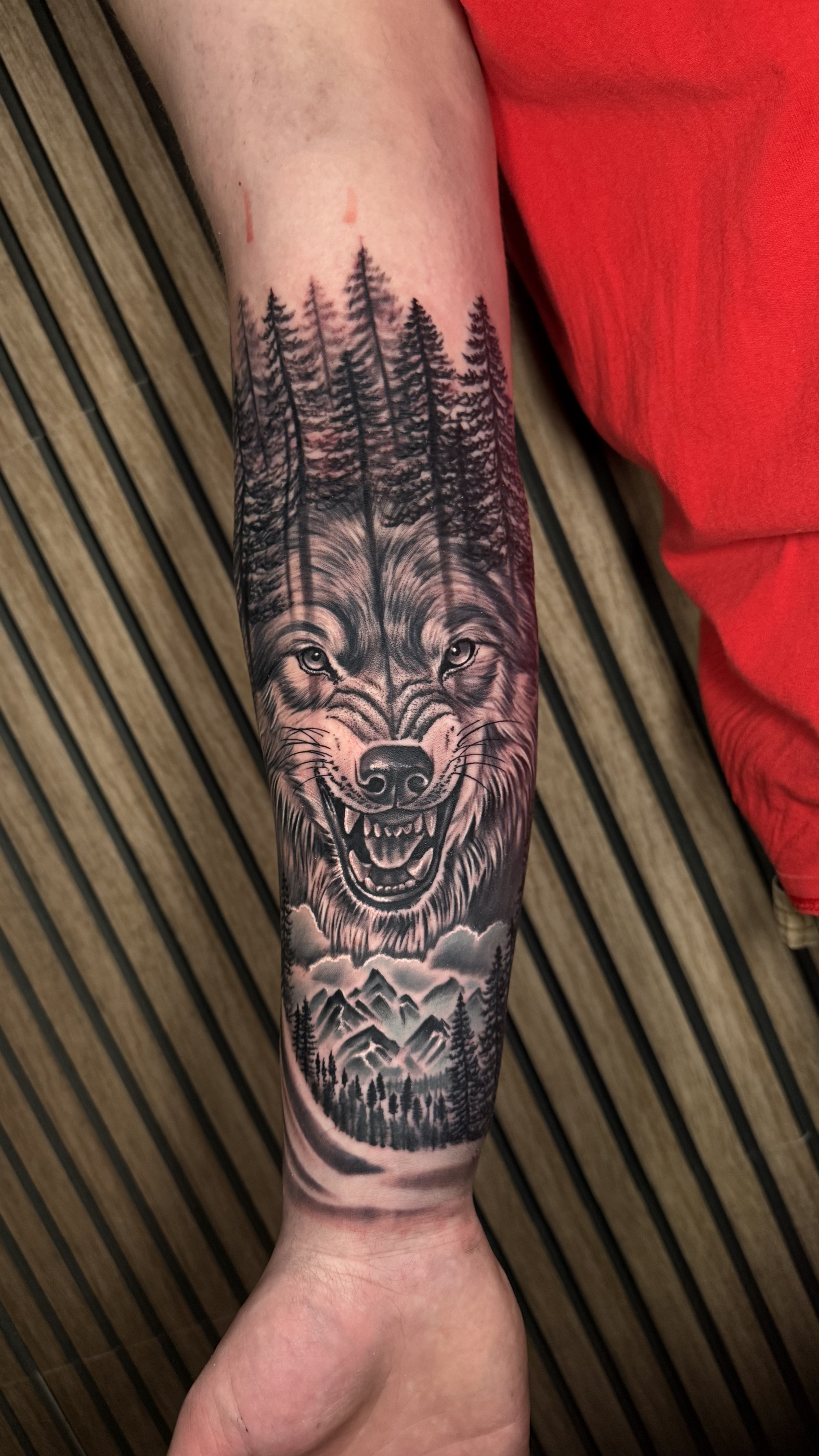 Wolf and Mountain Forest