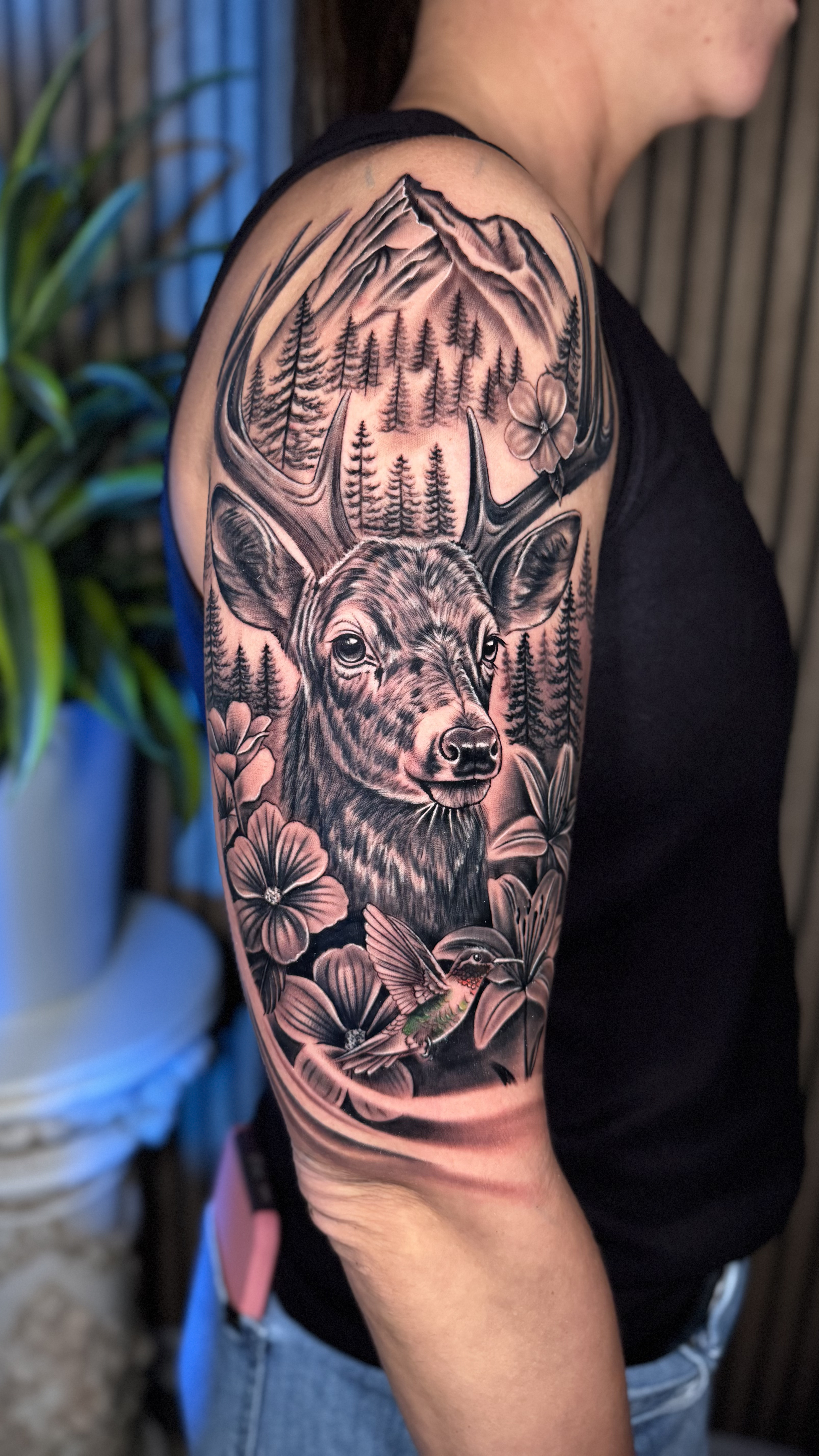 Deer in a Mountain Forest