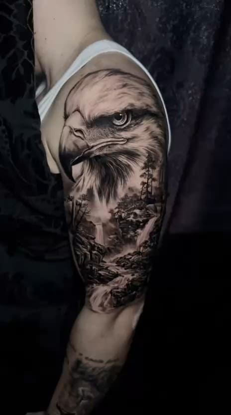 Bald Eagle and Mountain Waterfall